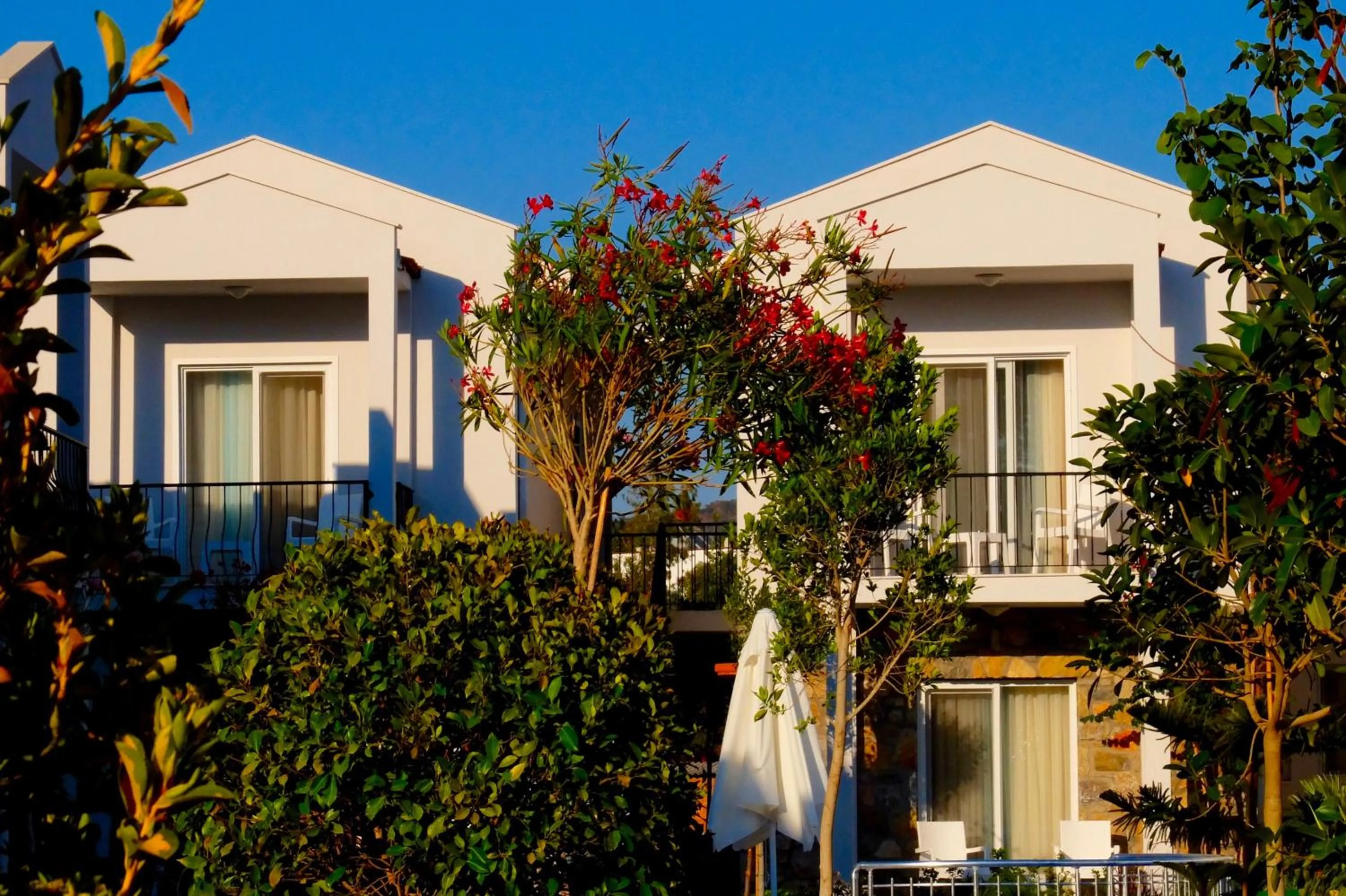 Garden in Kalina Hotel