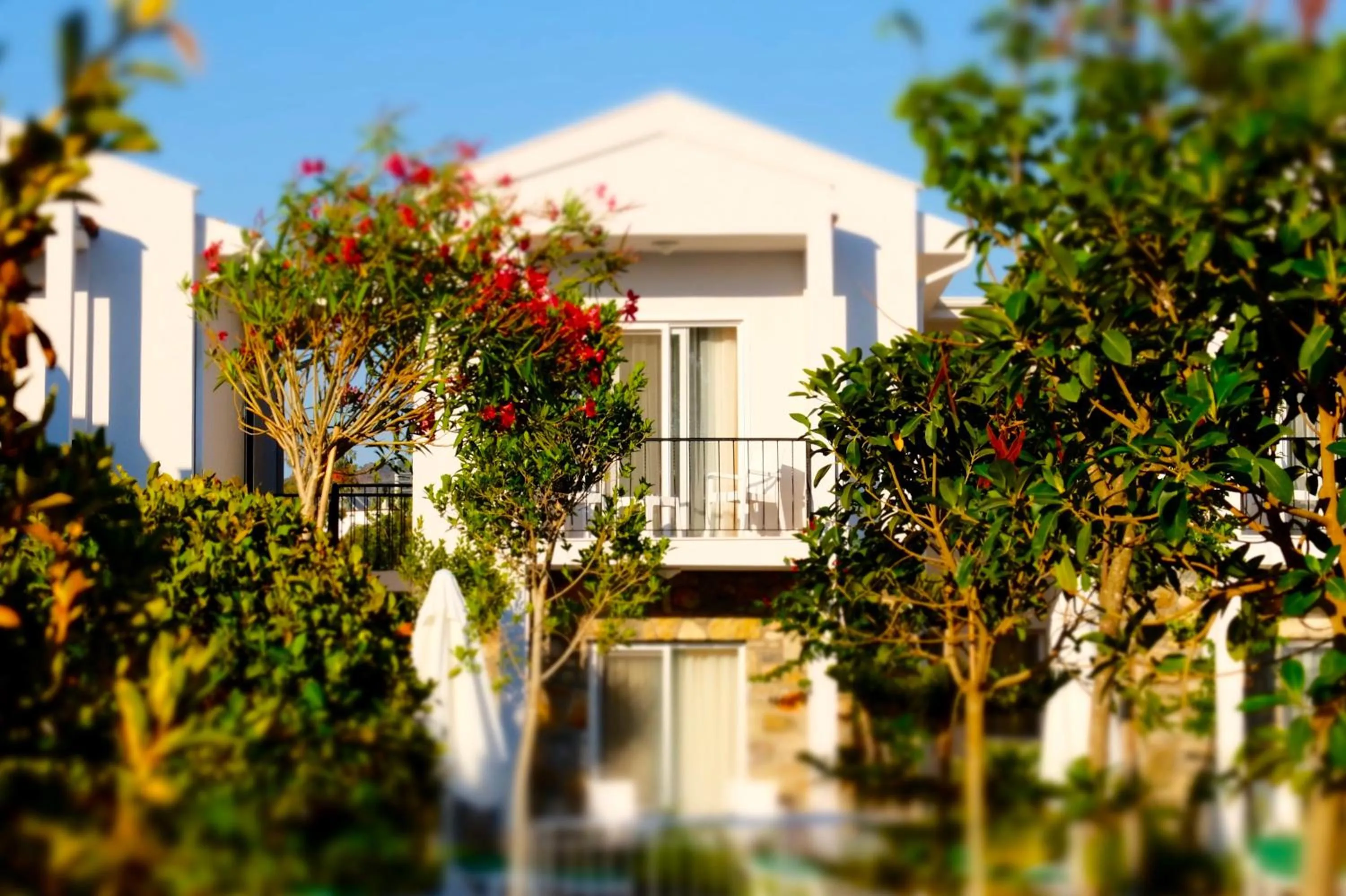 Other in Kalina Hotel