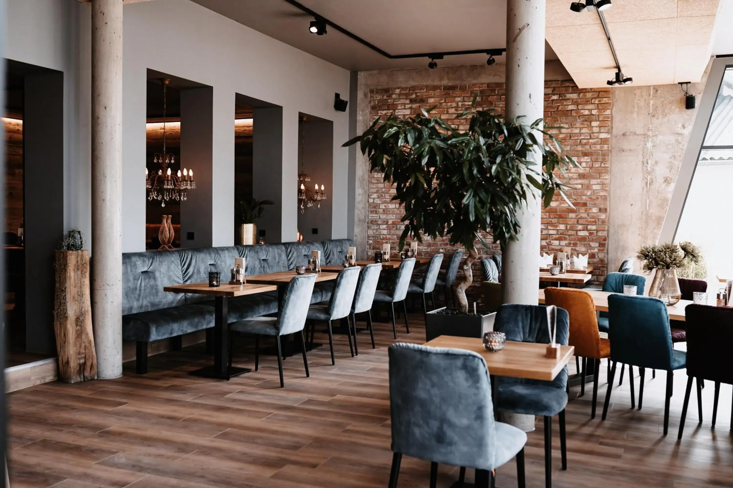 Restaurant/places to eat in My Place Restaurant/places to eat in My Place