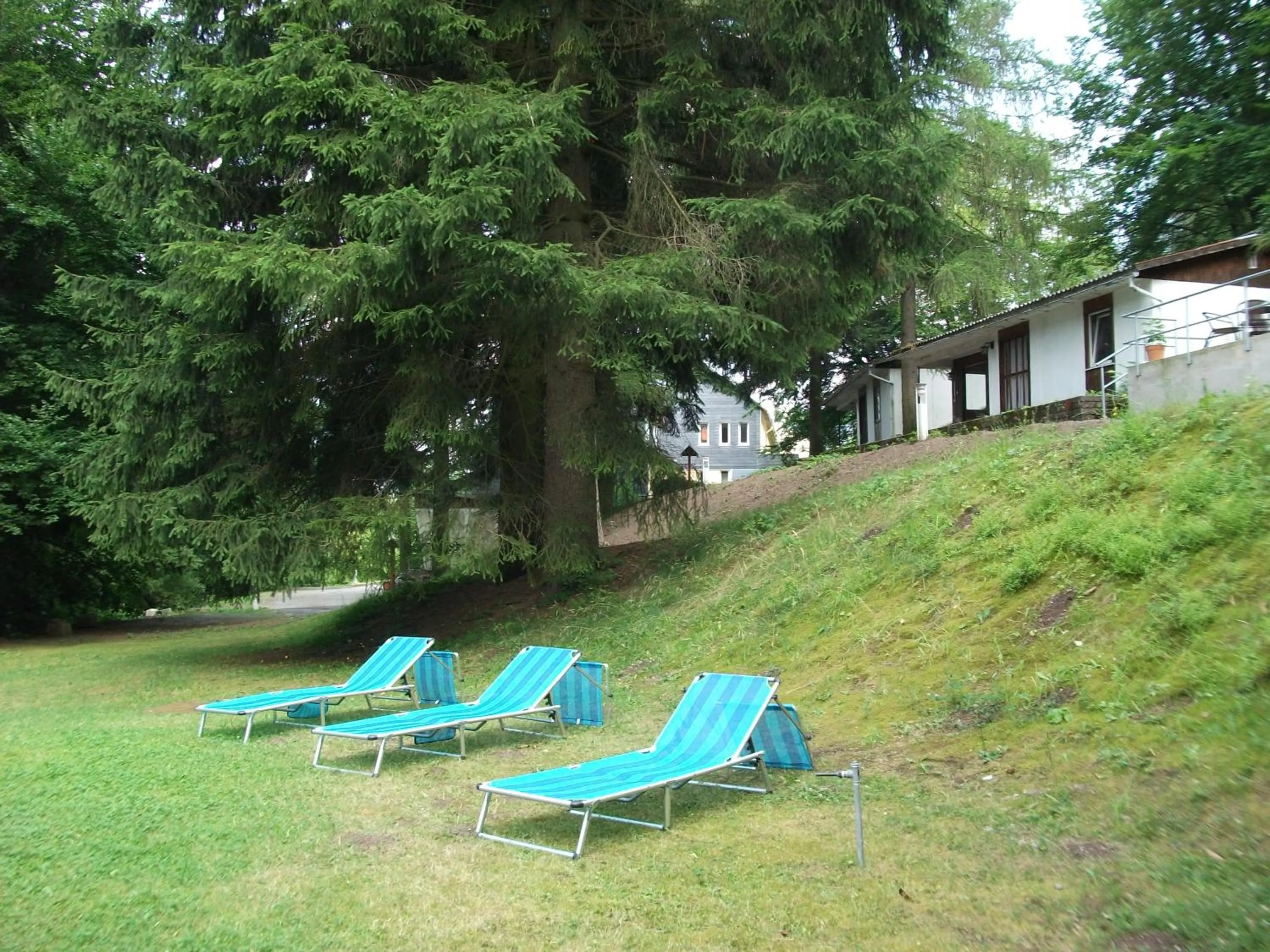 Garden in Hotel Am Wald -GARNI-