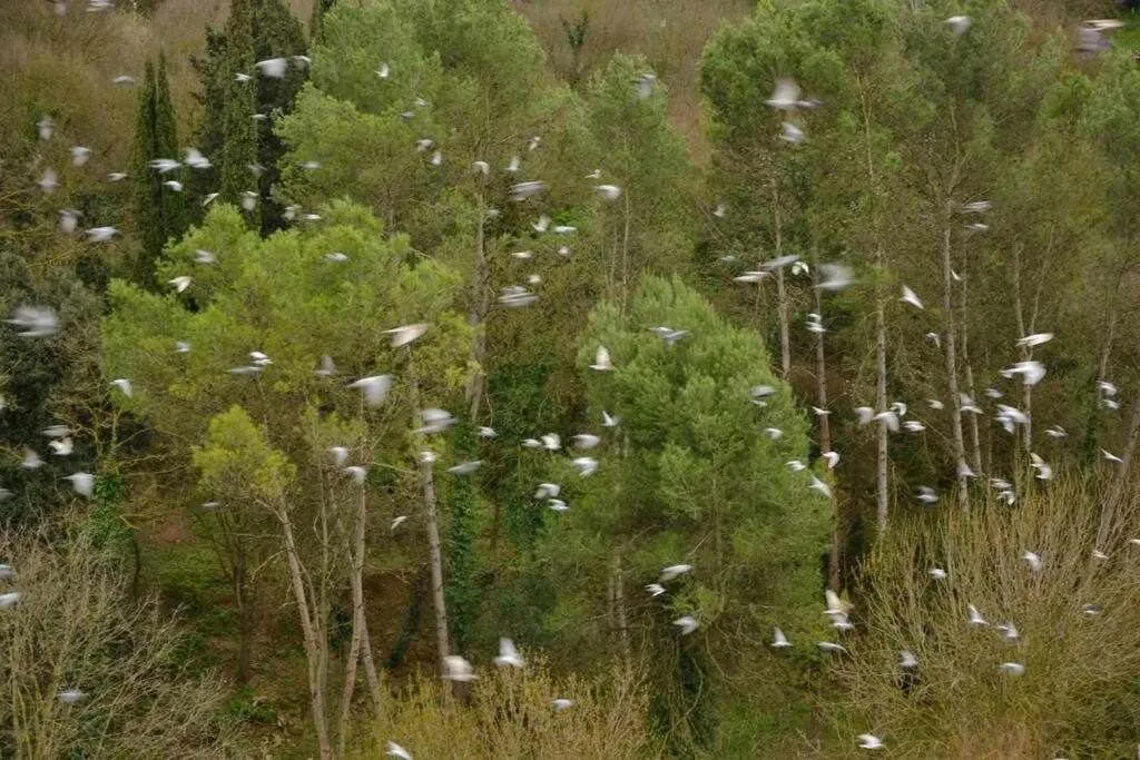 Sleep & Stay Artistico Loft Sant Daniel