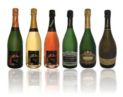 Other in La Chambre D'amis LA COSTIGNIERES