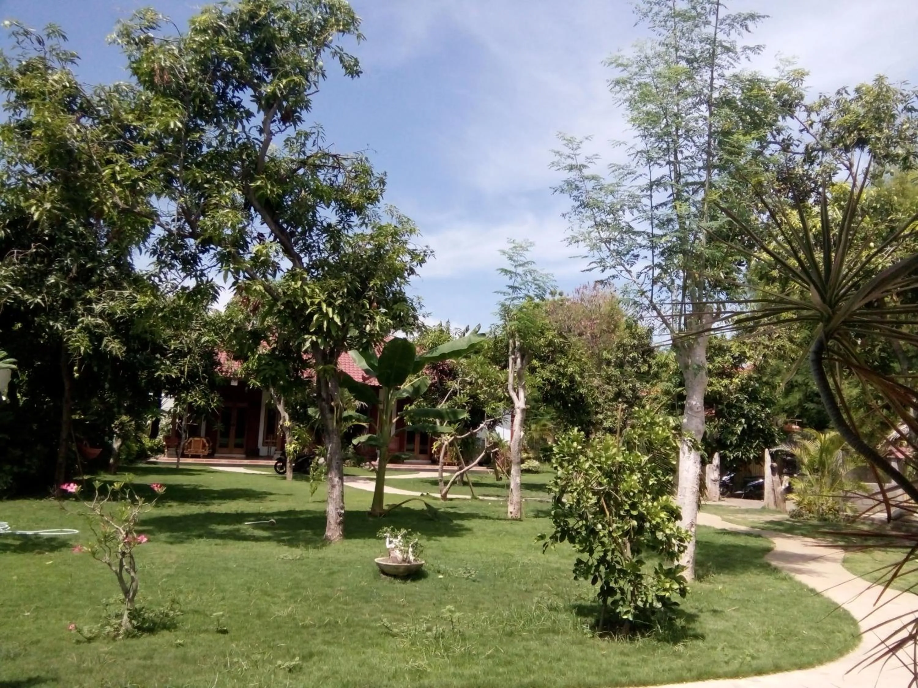 Garden in Biorock Homestay & Dive Center Pemuteran