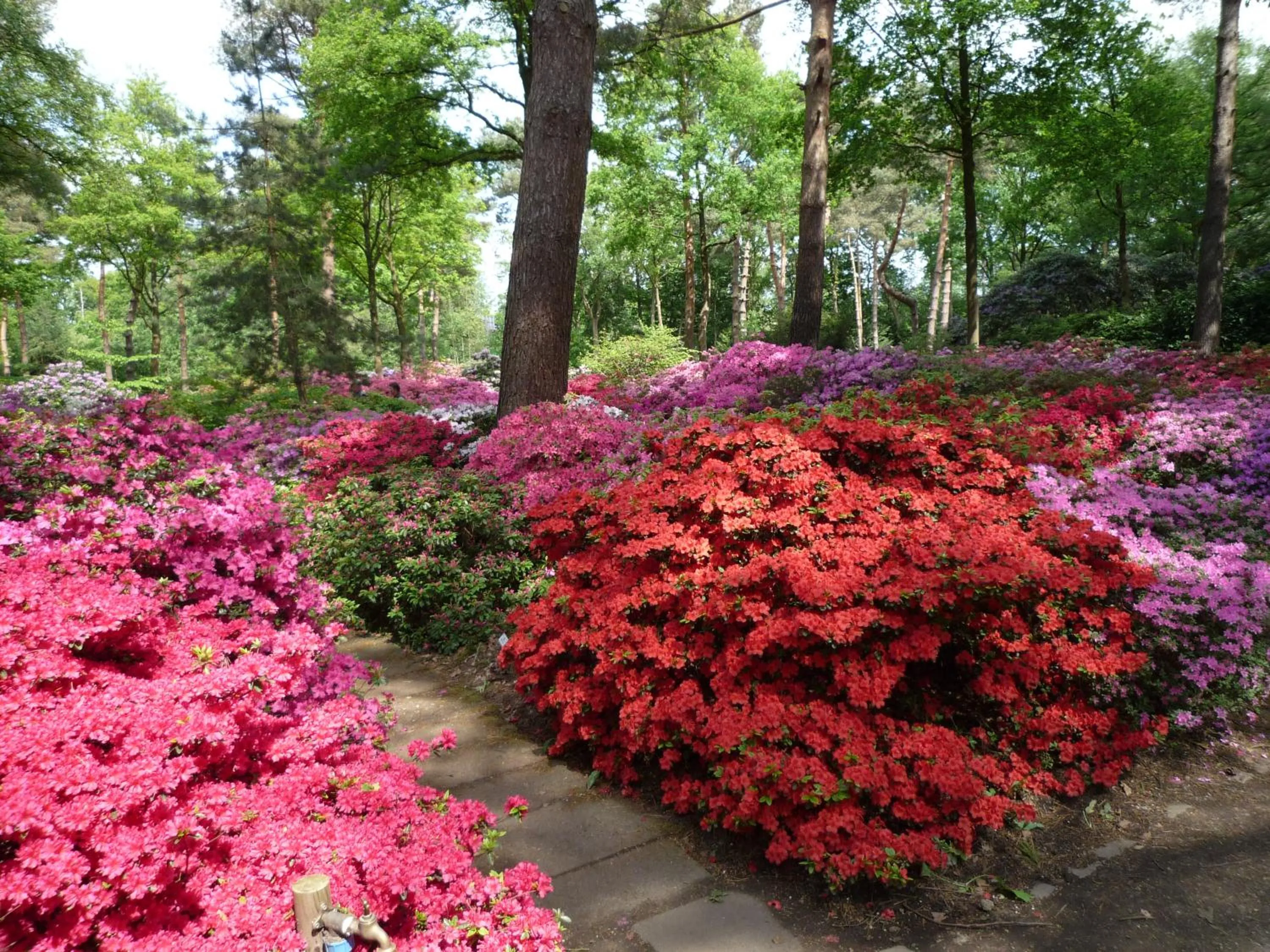 Spring in GastHaus Hotel Bremen