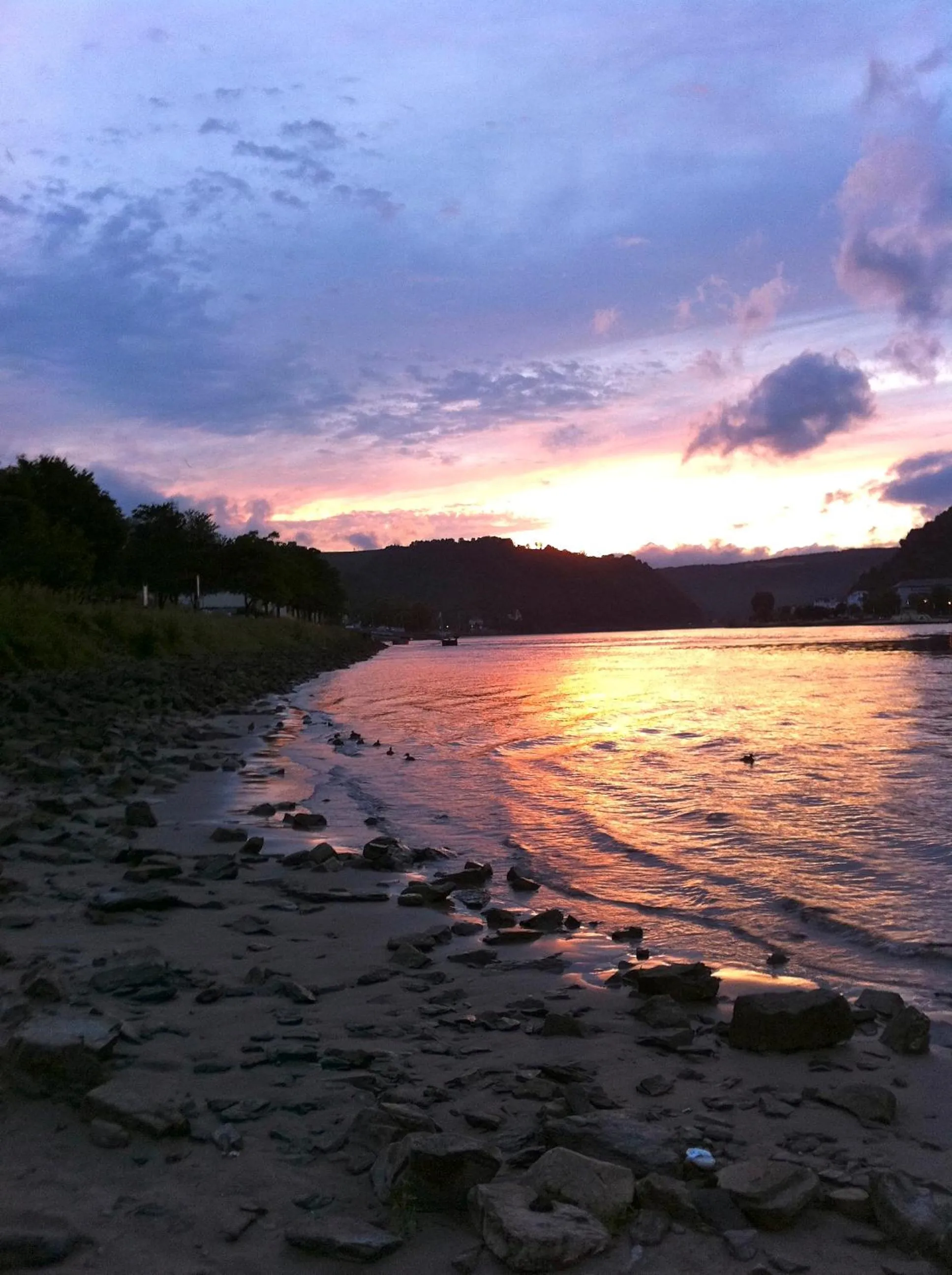 Beach in Rheinhotel St. Goar