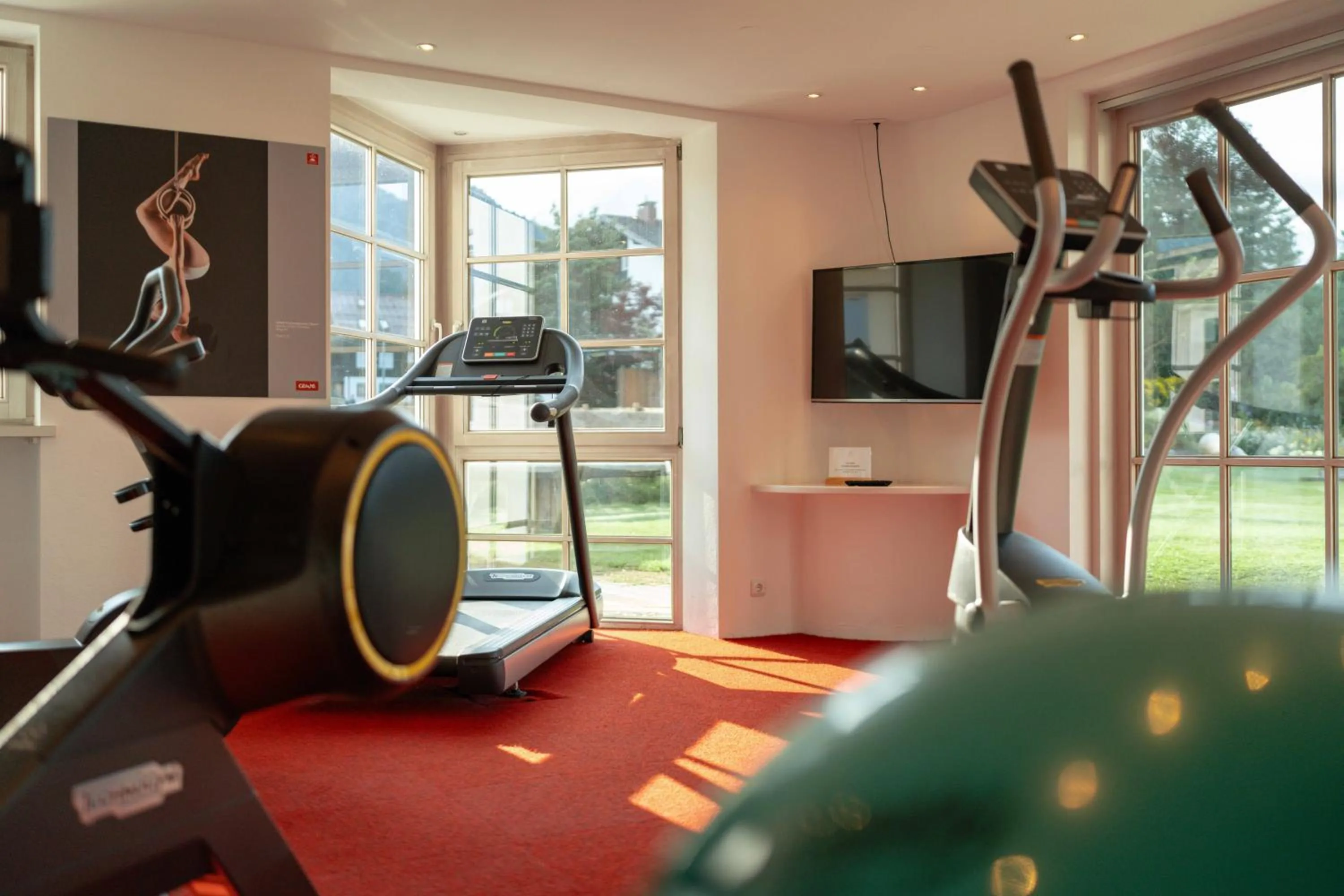 Fitness centre/facilities in Geldernhaus Hotel garni