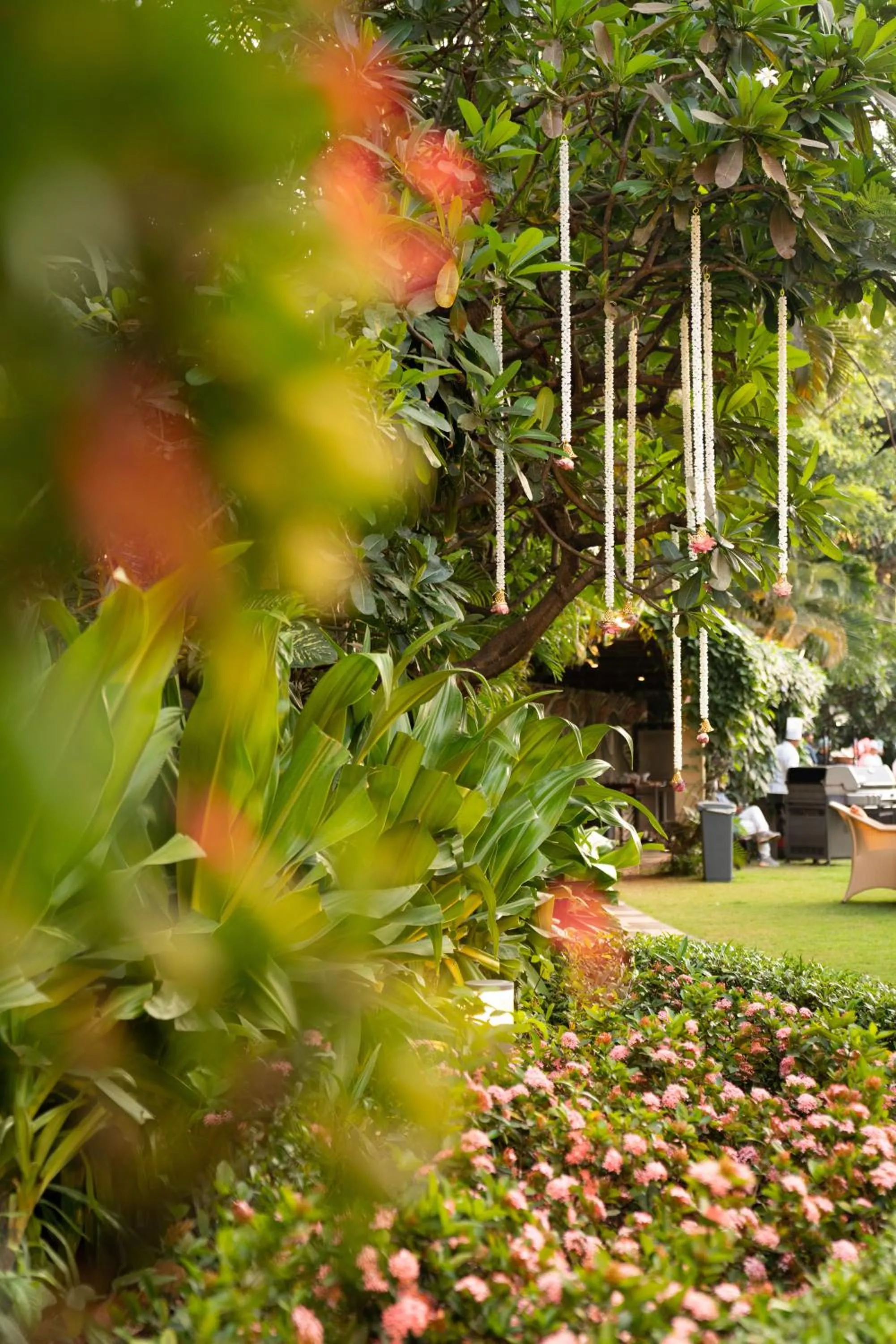 Spring in Taj Wellington Mews, Mumbai