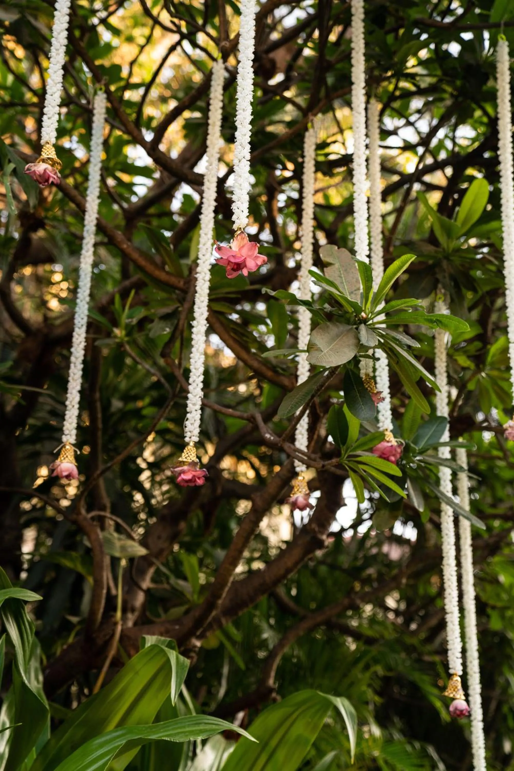Spring in Taj Wellington Mews, Mumbai