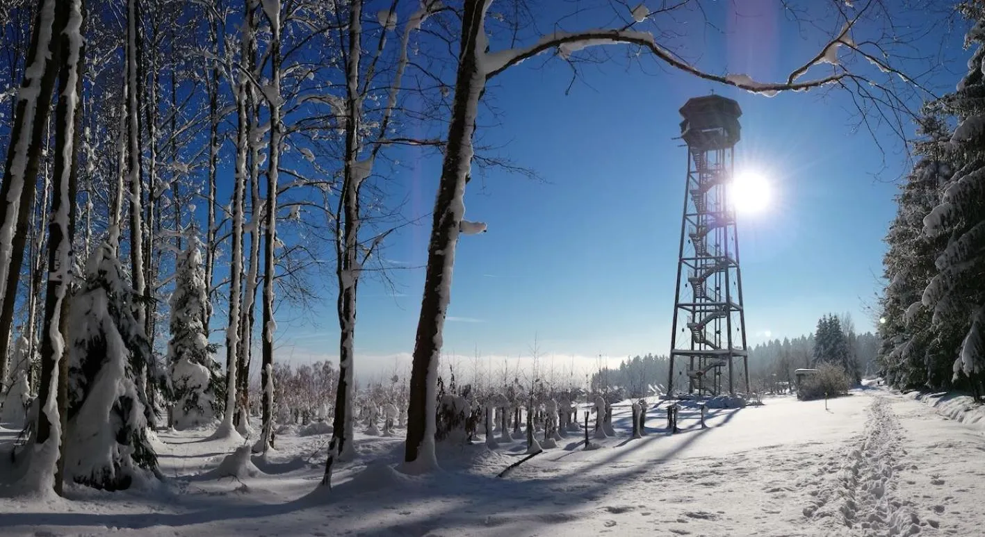 Winter in Hotel Traube Lossburg