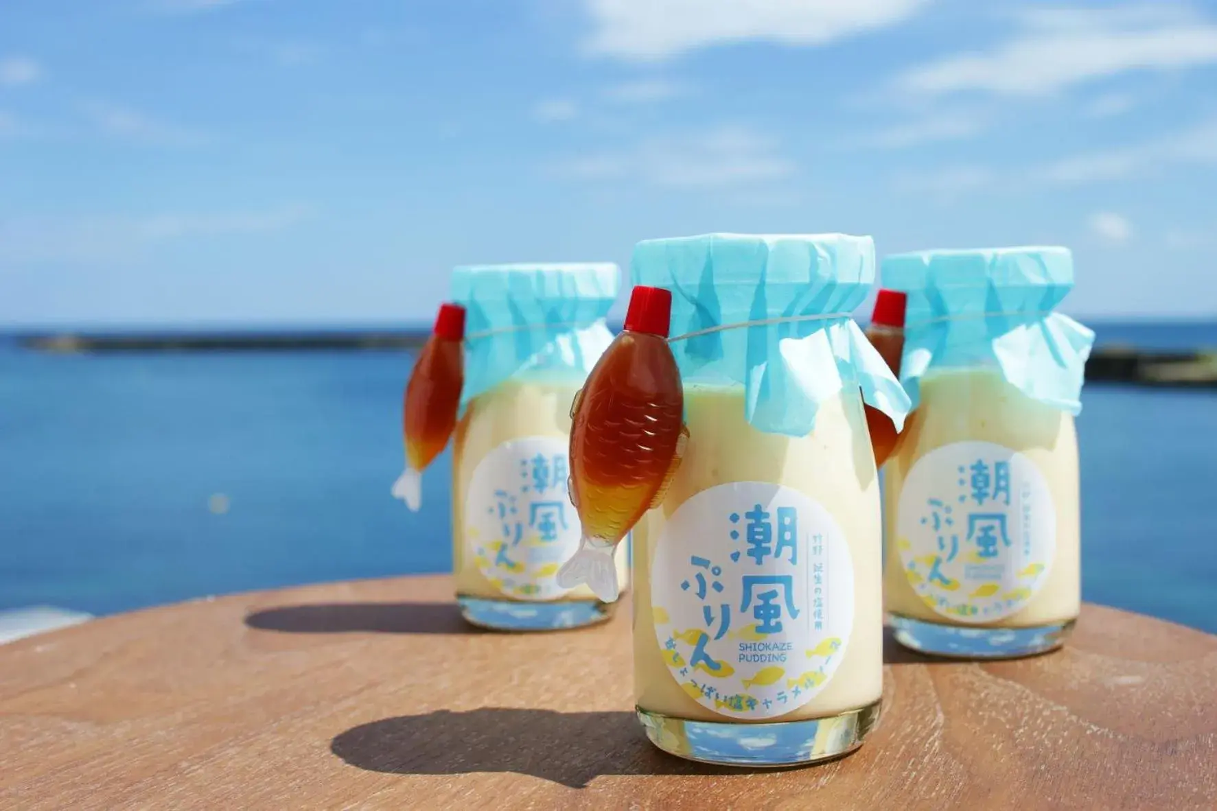 Sea view in Okukinosaki Seaside Hotel Sea view in Okukinosaki Seaside Hotel