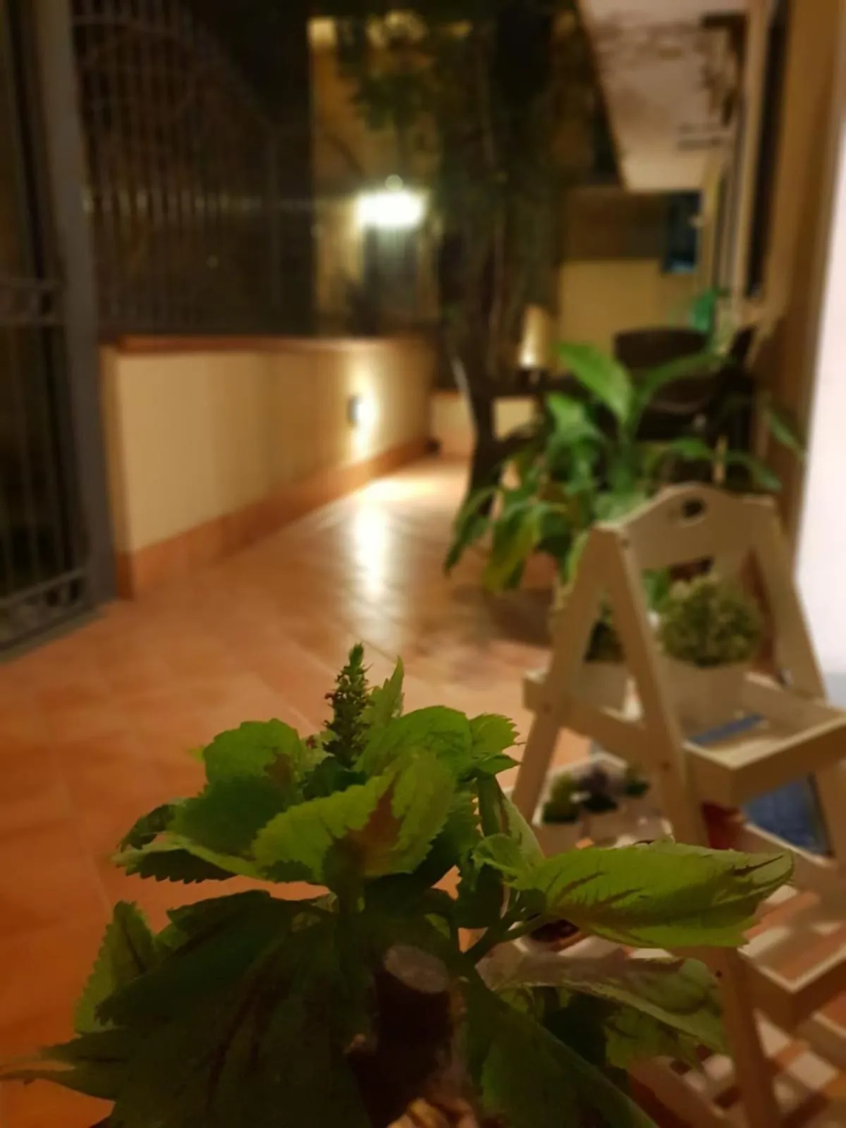 Property building in Dimoramuri B&B