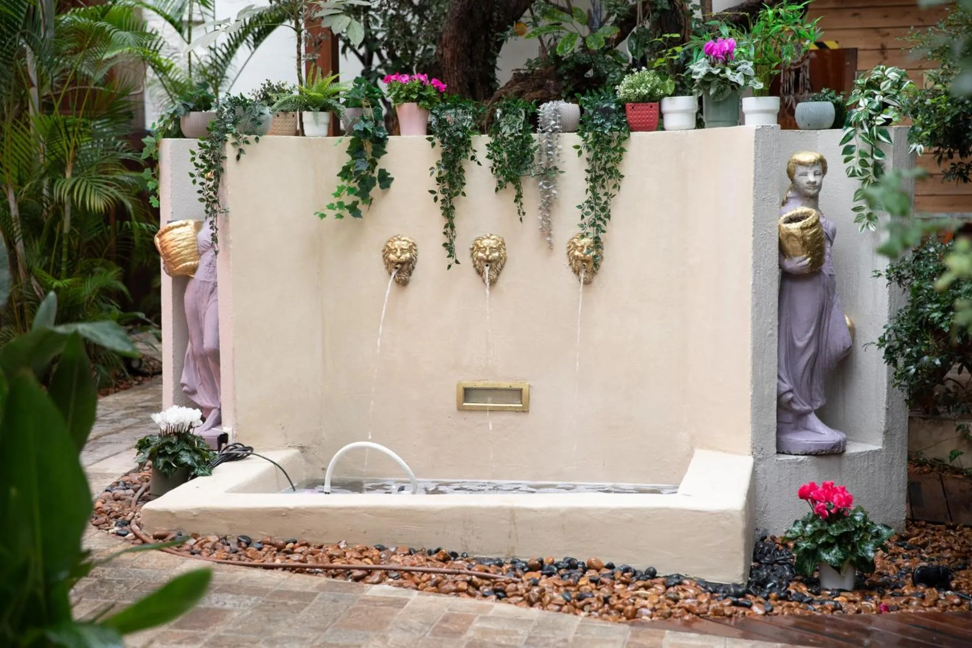 Garden in Carmel Pearl