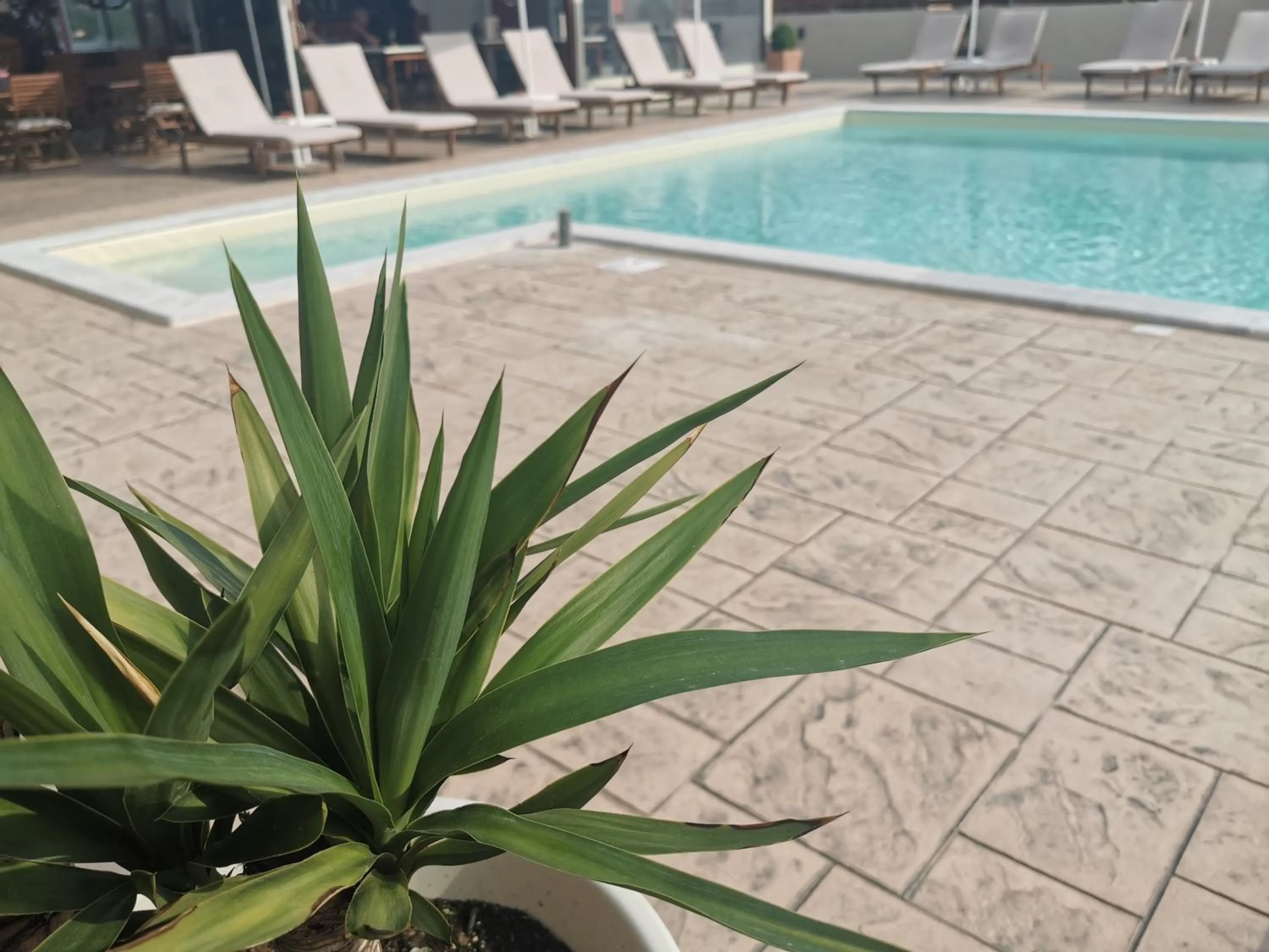 Swimming pool in The Mathraki Studios