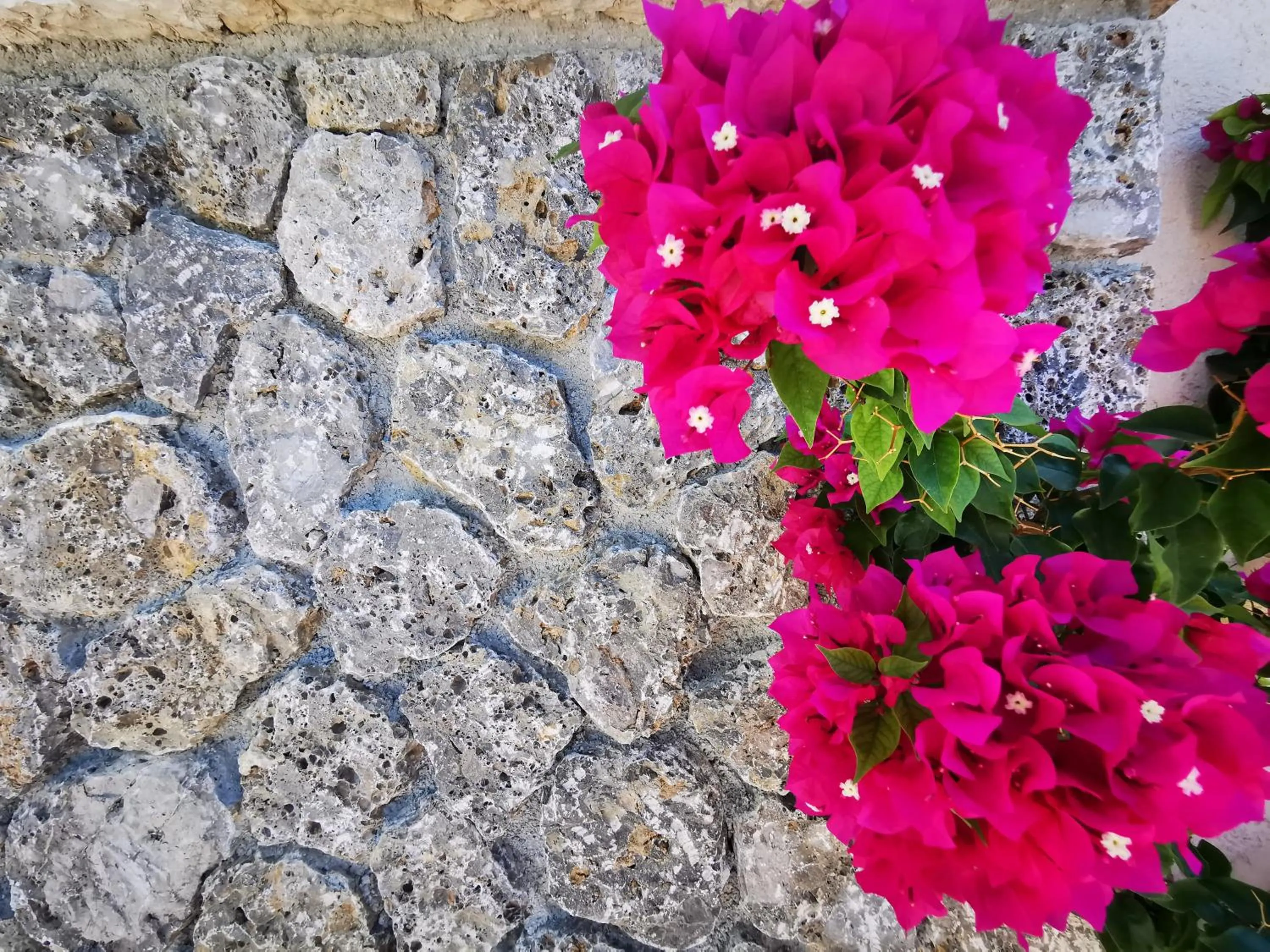 The Mathraki Studios