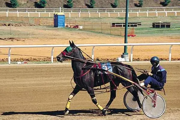 Red Carpet Inn Orchard Park