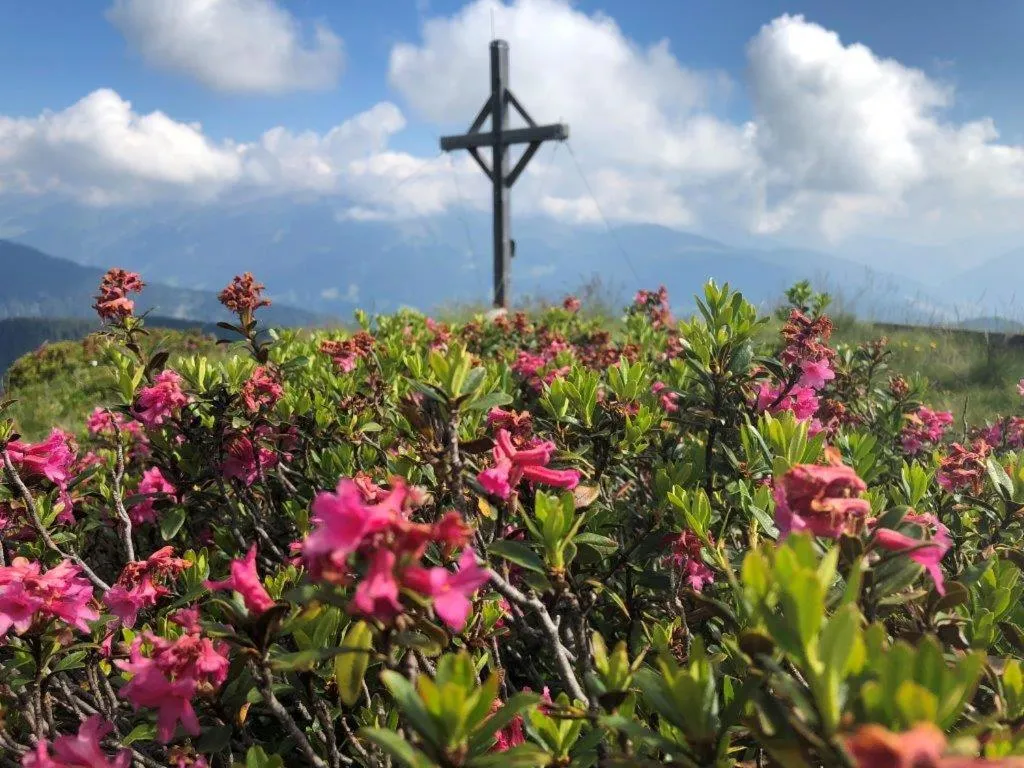 Natural landscape in Hotel Jaufentalerhof