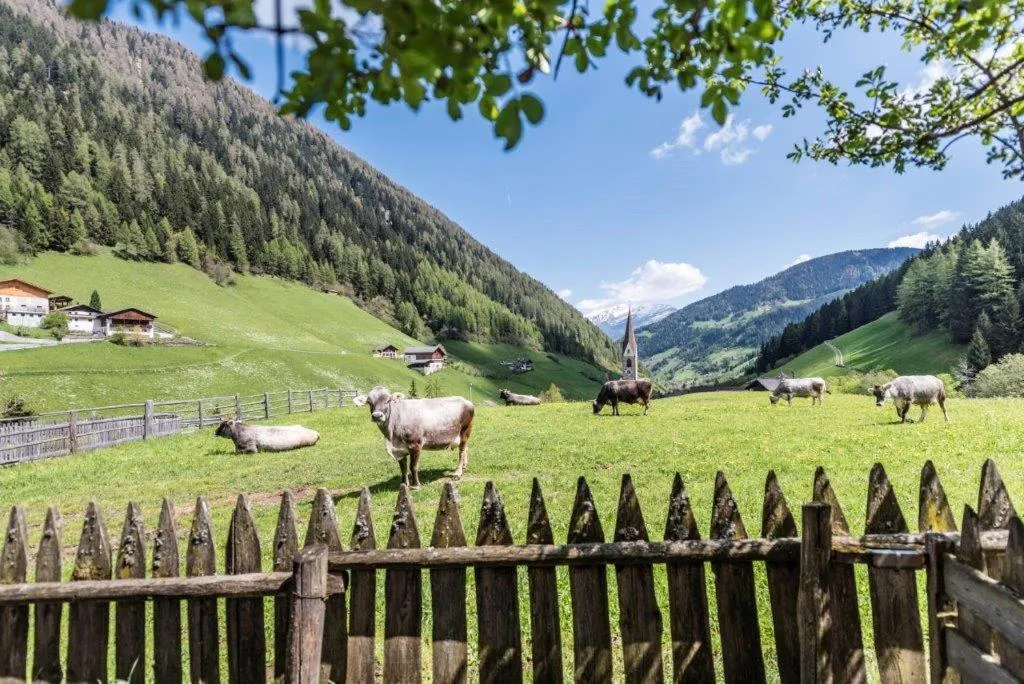Natural landscape in Hotel Jaufentalerhof