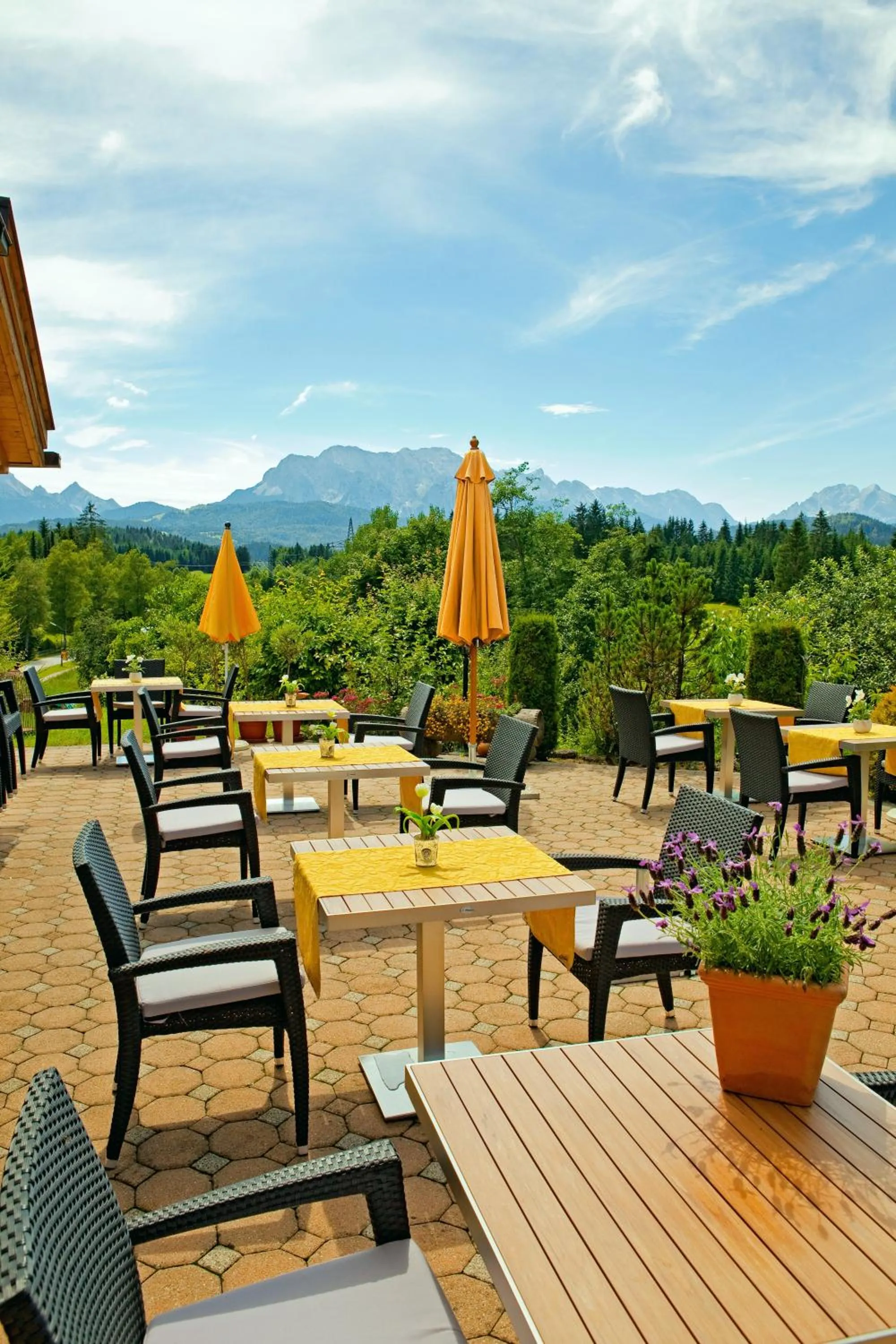 Restaurant/places to eat in Landhotel zum Bad