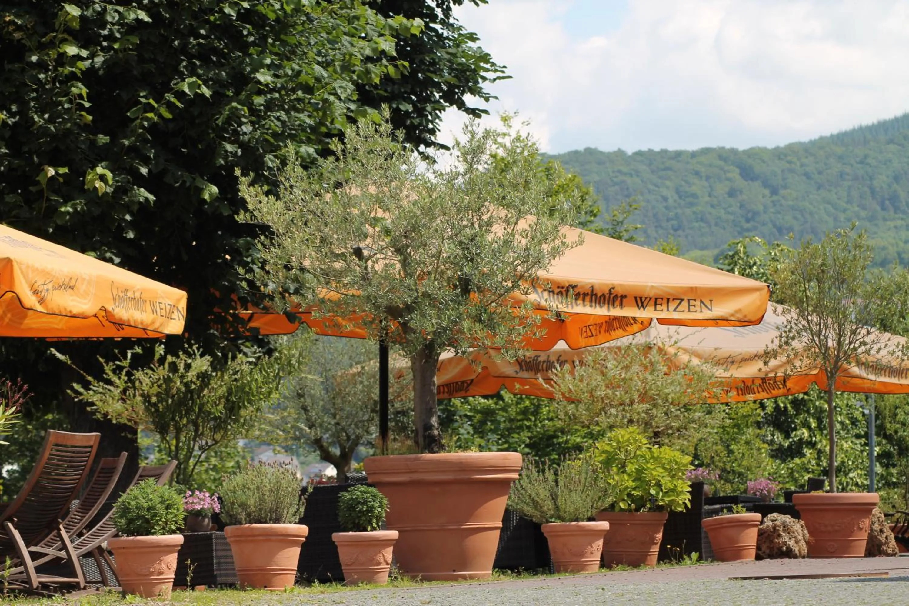 Balcony/Terrace in BSW Ferienhotel Lindenbach