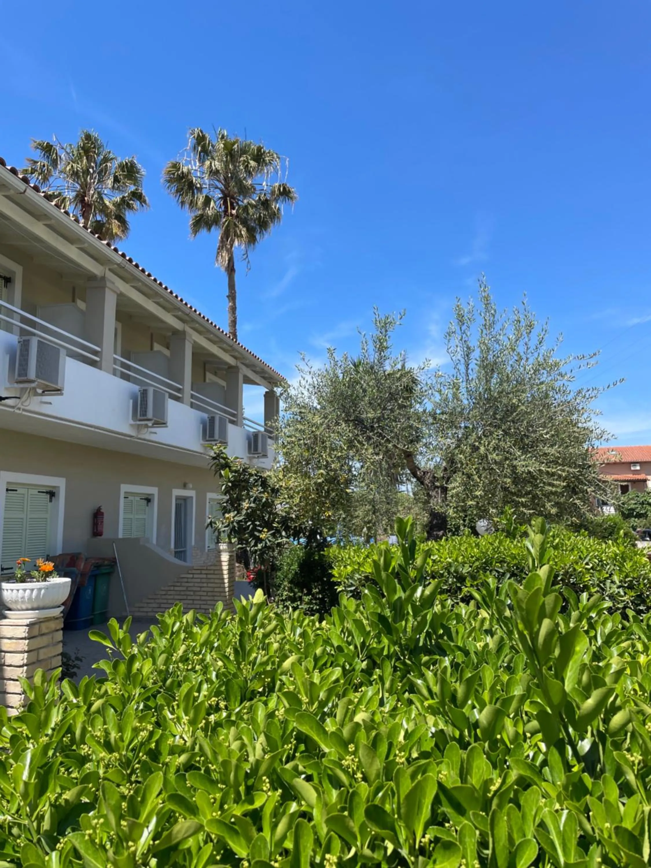 Property building in Alexandros Studios Apartments