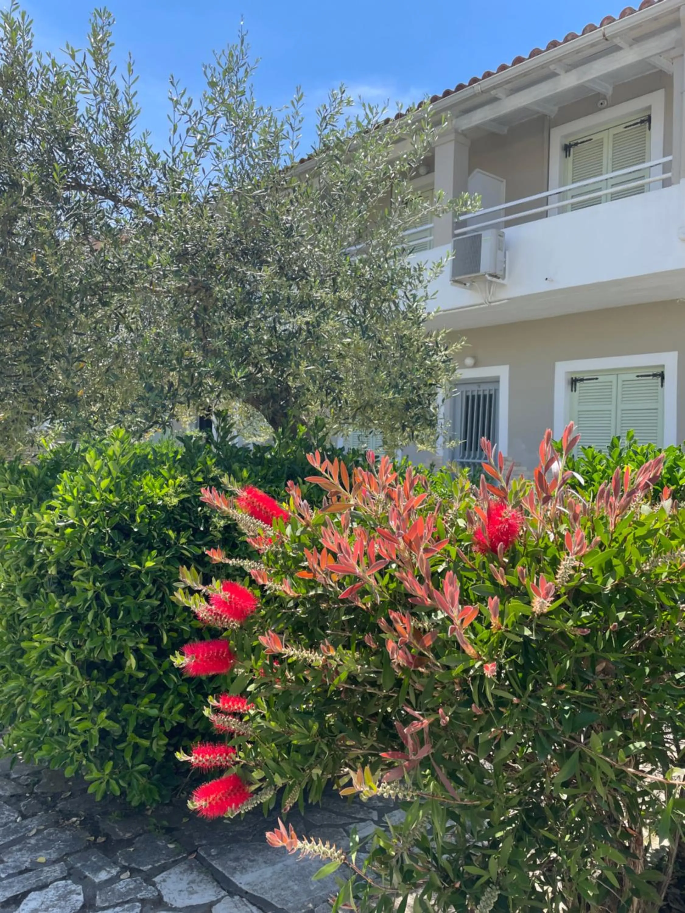 Garden in Alexandros Studios Apartments