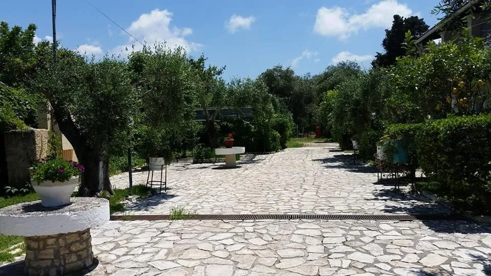Garden in Alexandros Studios Apartments