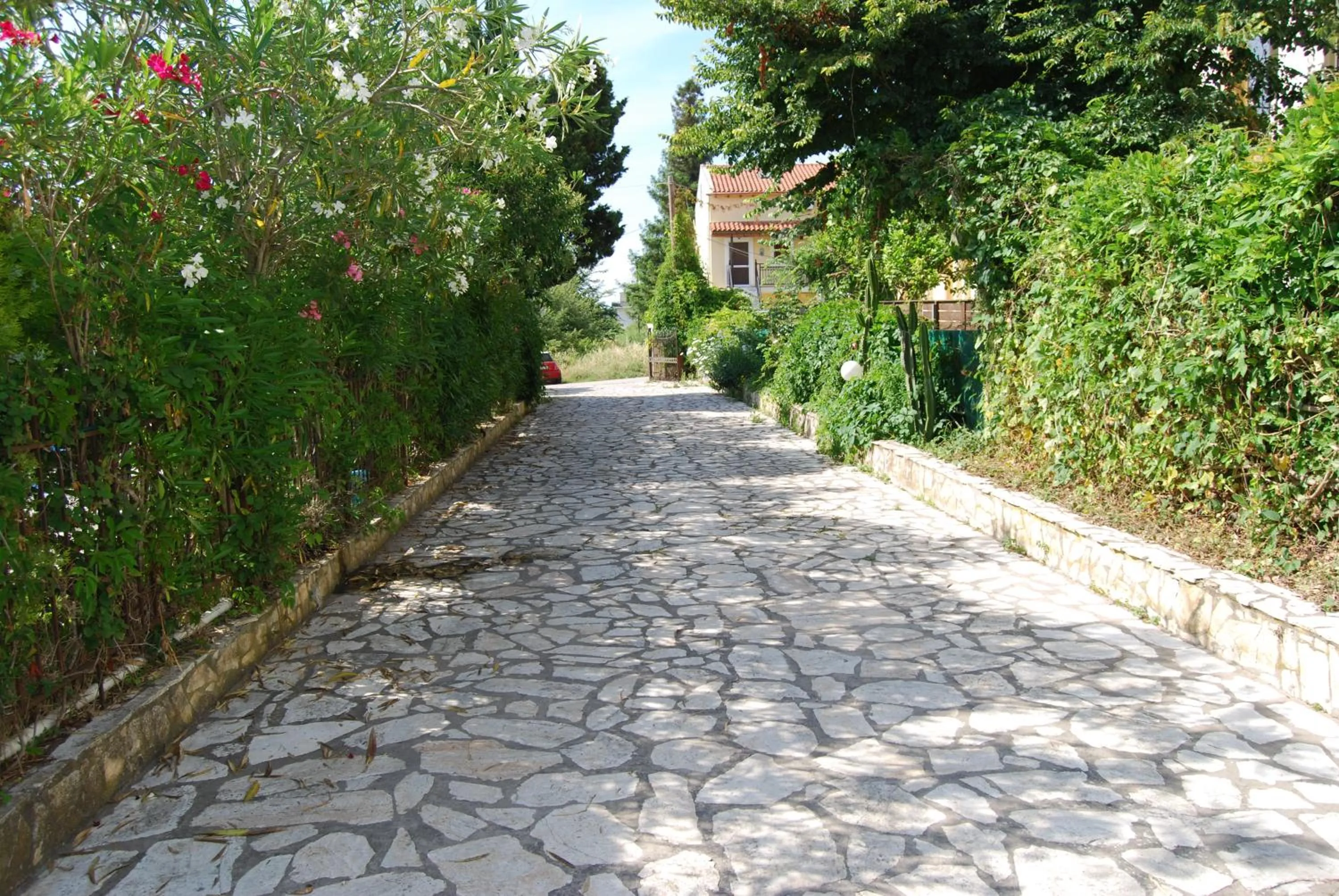 Garden in Alexandros Studios Apartments
