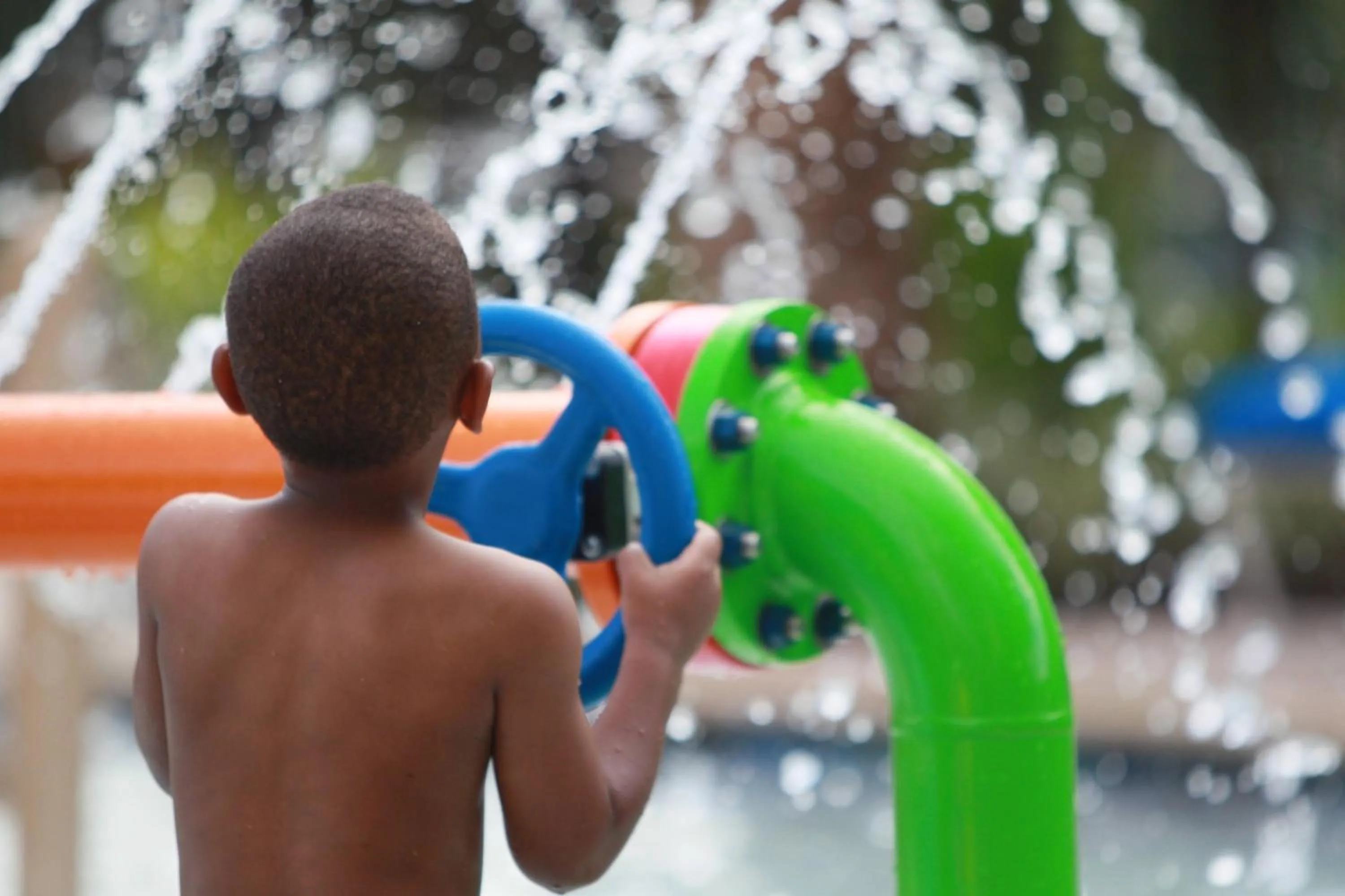 Other in Renaissance Orlando at SeaWorld®