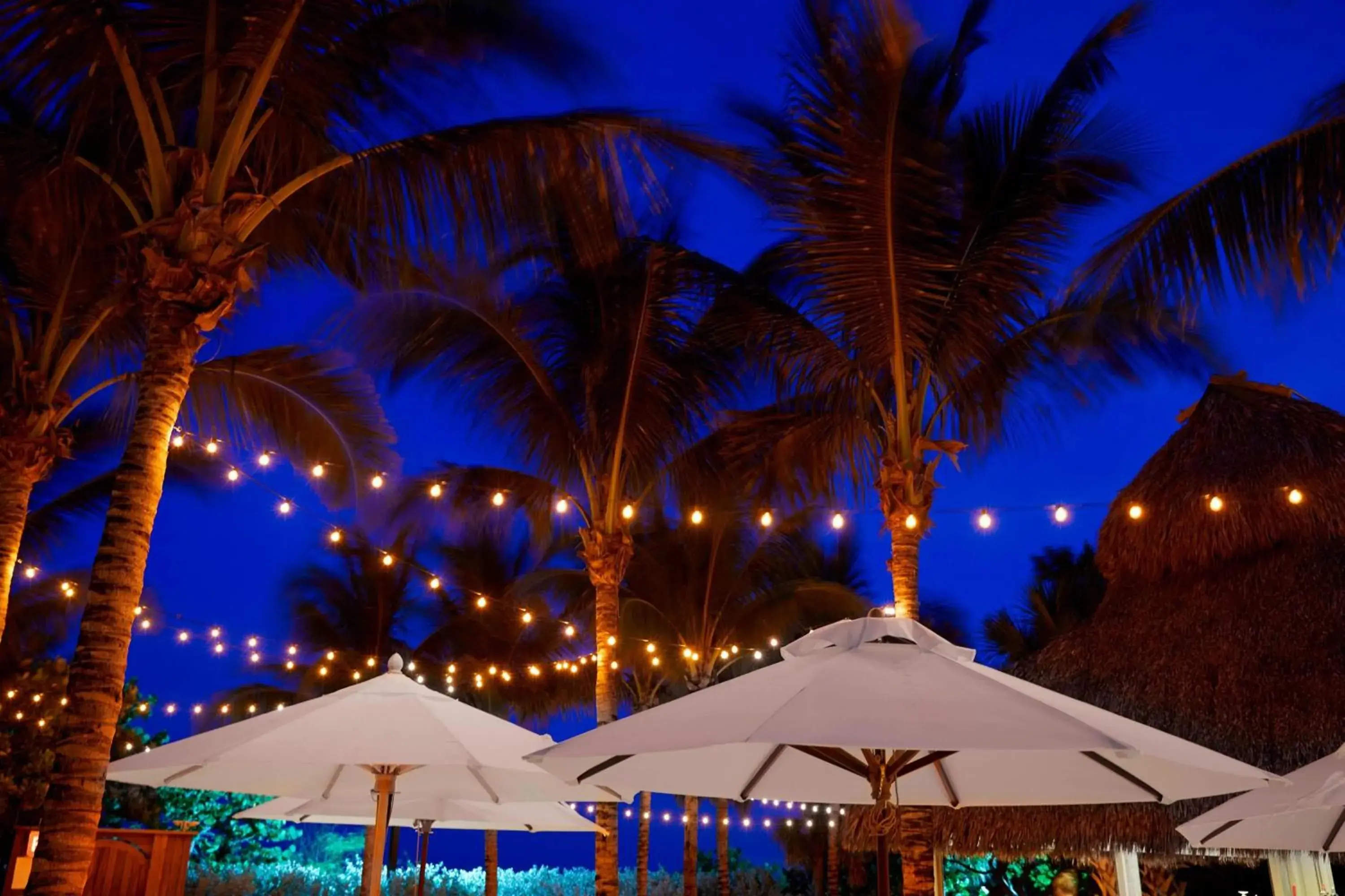 Restaurant/places to eat in Cadillac Hotel & Beach Club, Autograph Collection Restaurant/places to eat in Cadillac Hotel & Beach Club, Autograph Collection