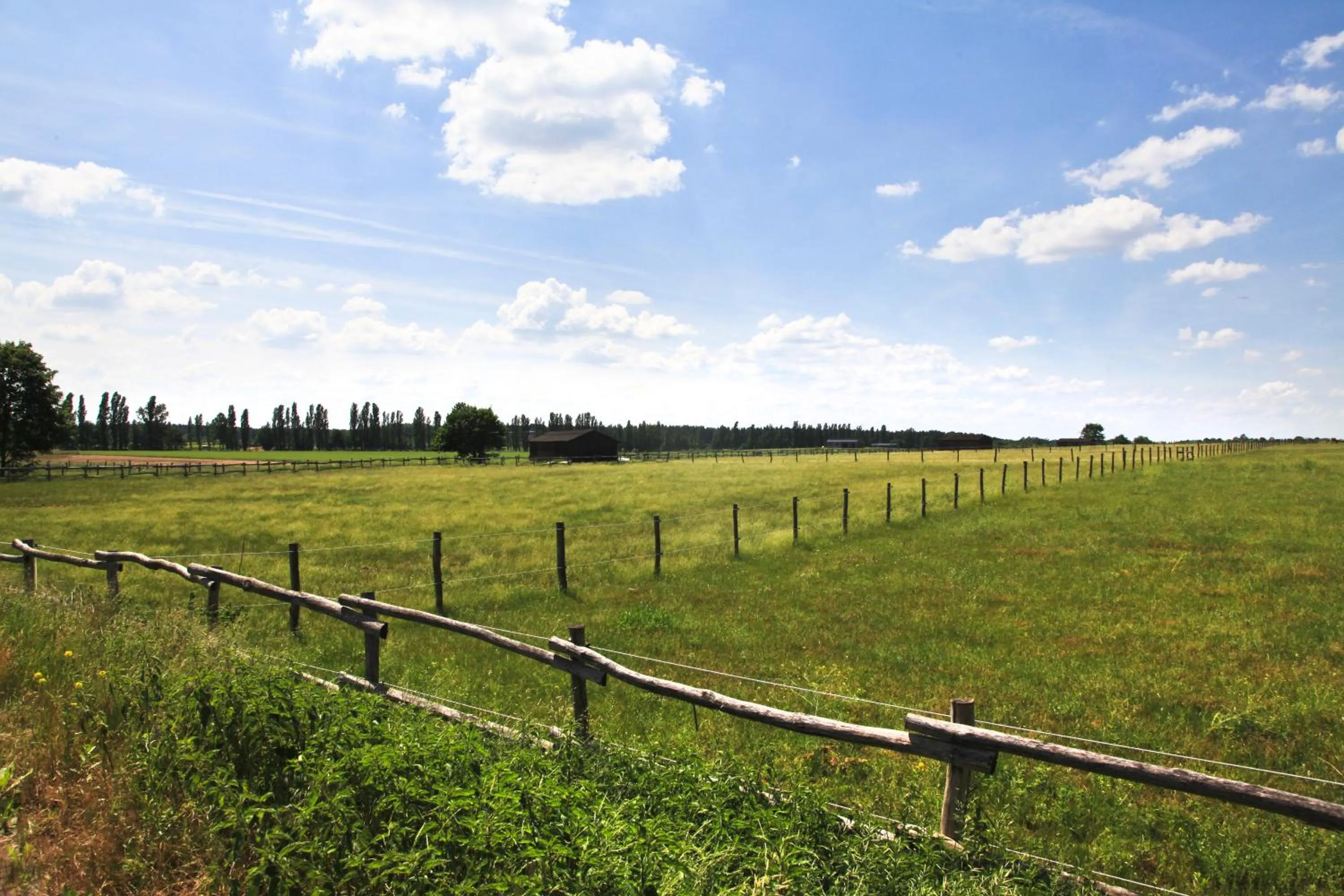 Natural landscape in Country Inn Suitenhotel