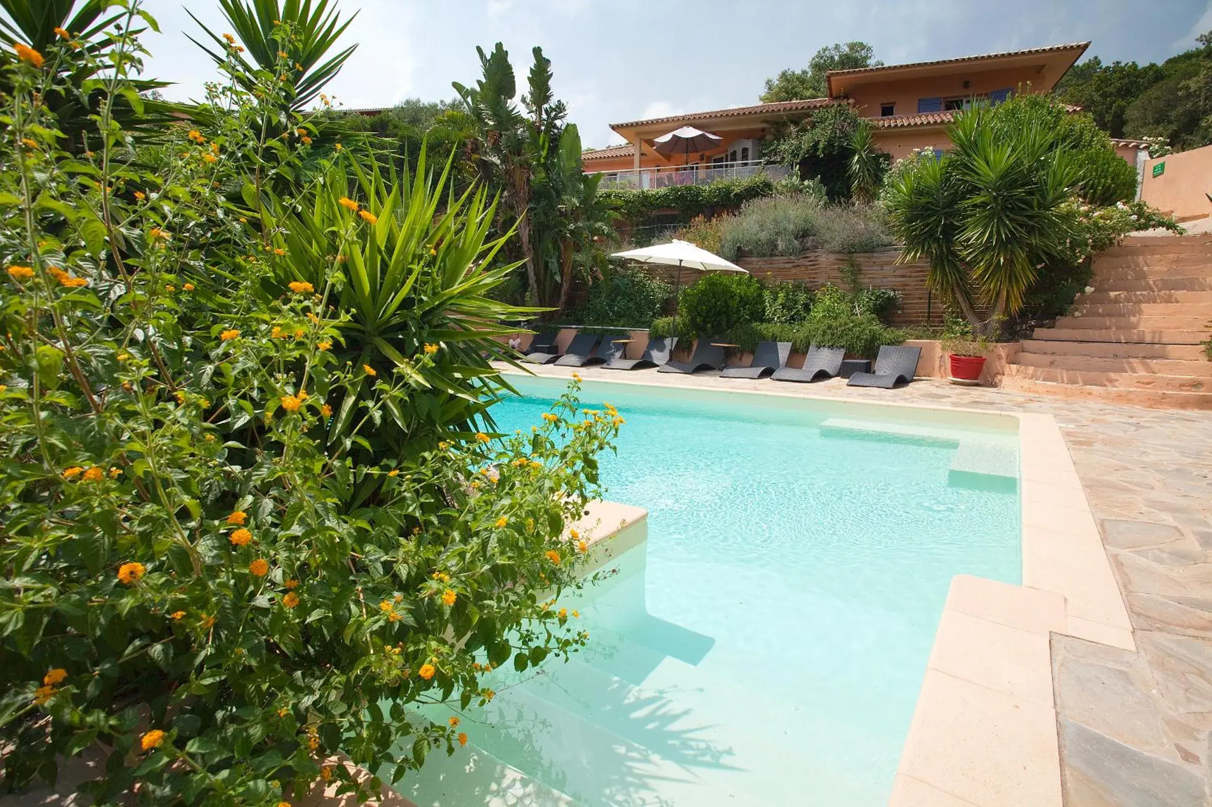 Villa Mimosa Villa Mimosa