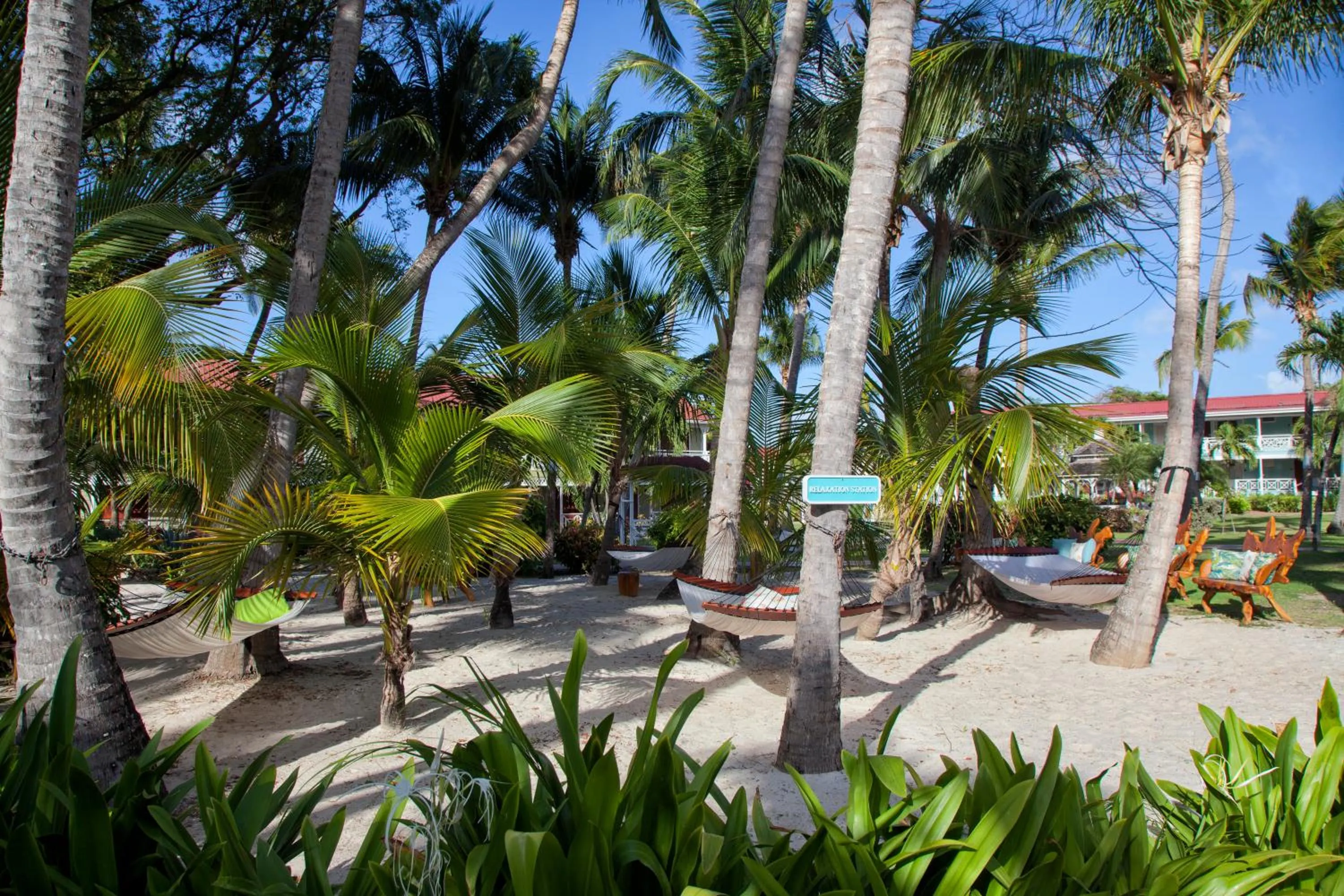 Area and facilities in Pineapple Beach Club - All Inclusive - Adults Only