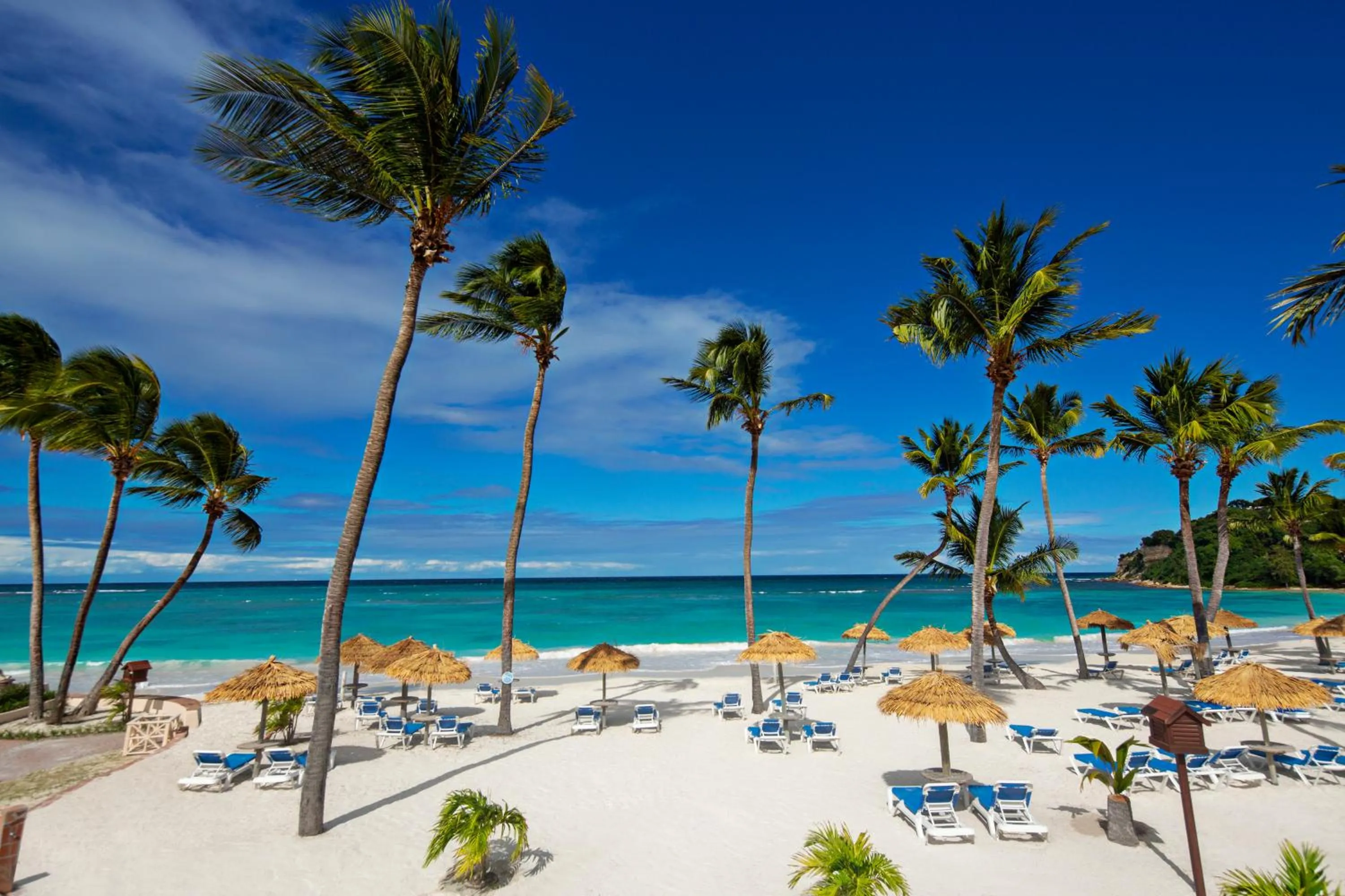 Beach in Pineapple Beach Club - All Inclusive - Adults Only