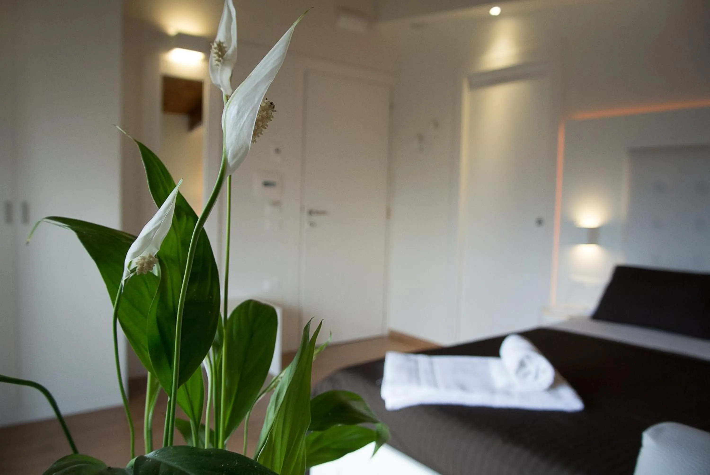 Photo of the whole room, Bed in Boutique Hotel e Spa Città Bianca