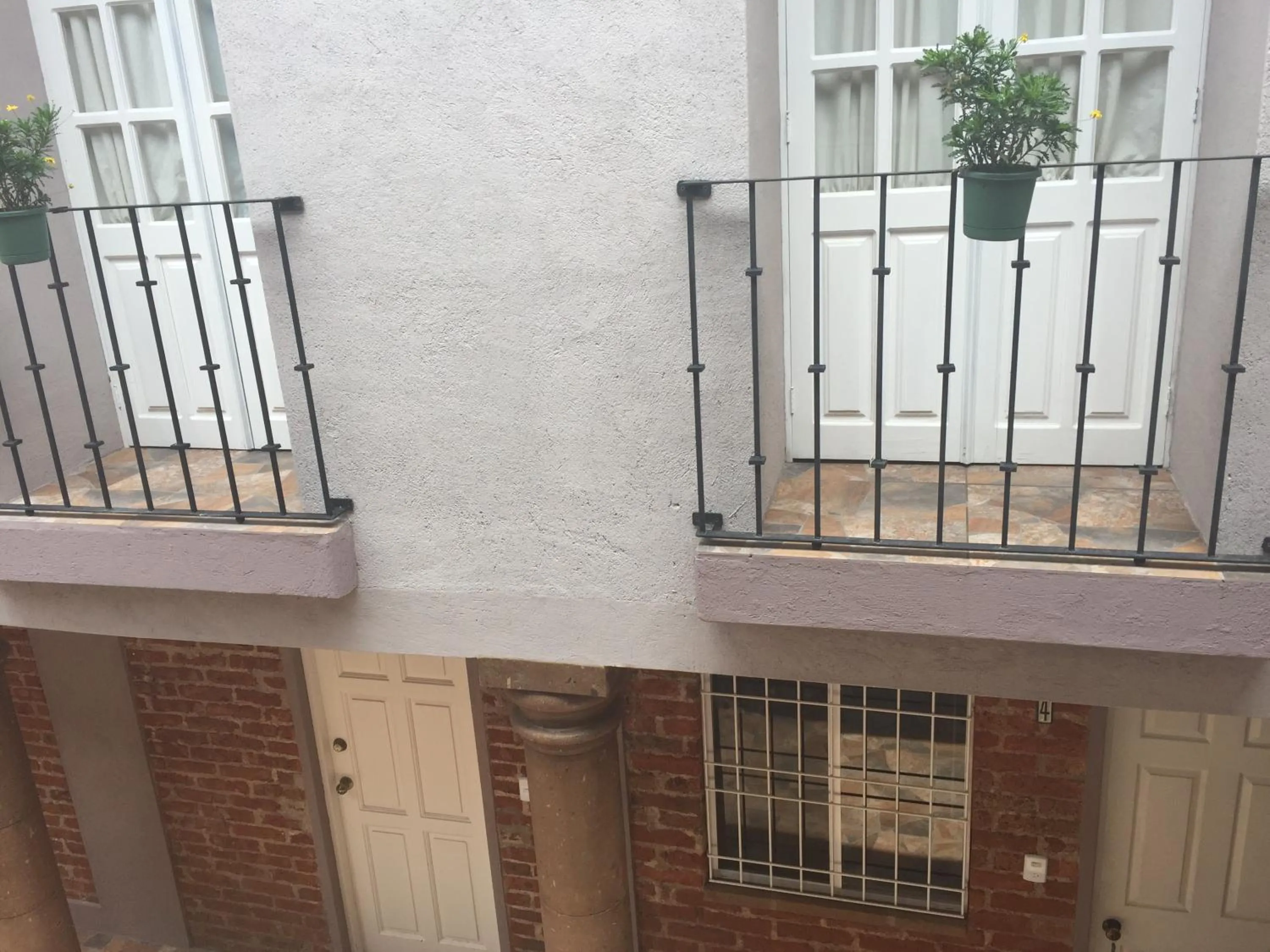 Decorative detail in Suites colibri