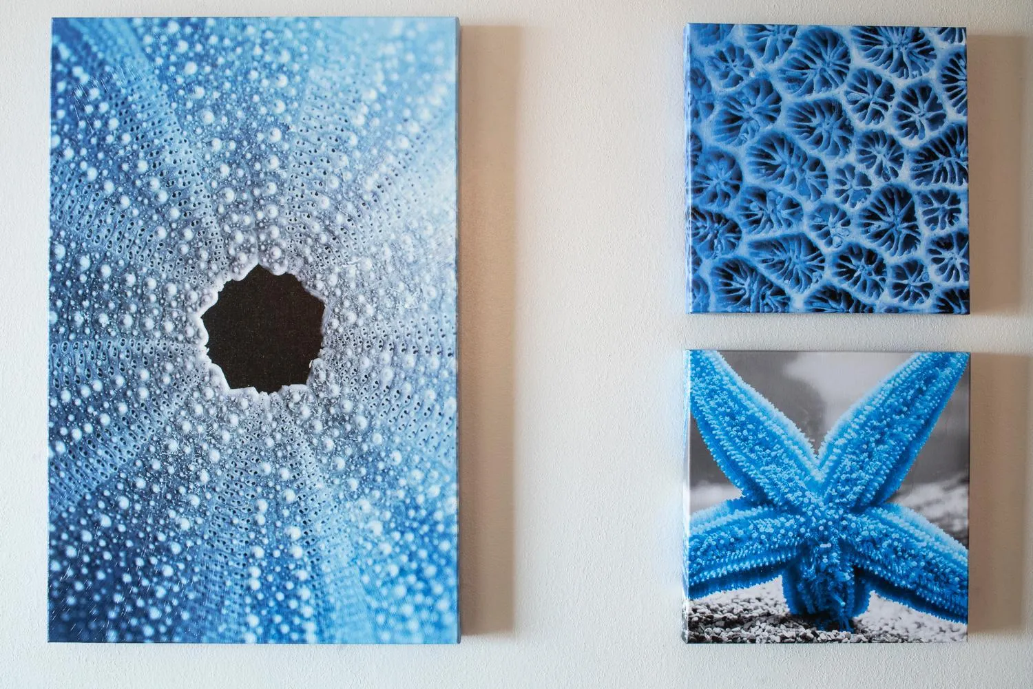 Decorative detail in Hollywood Beach Marriott