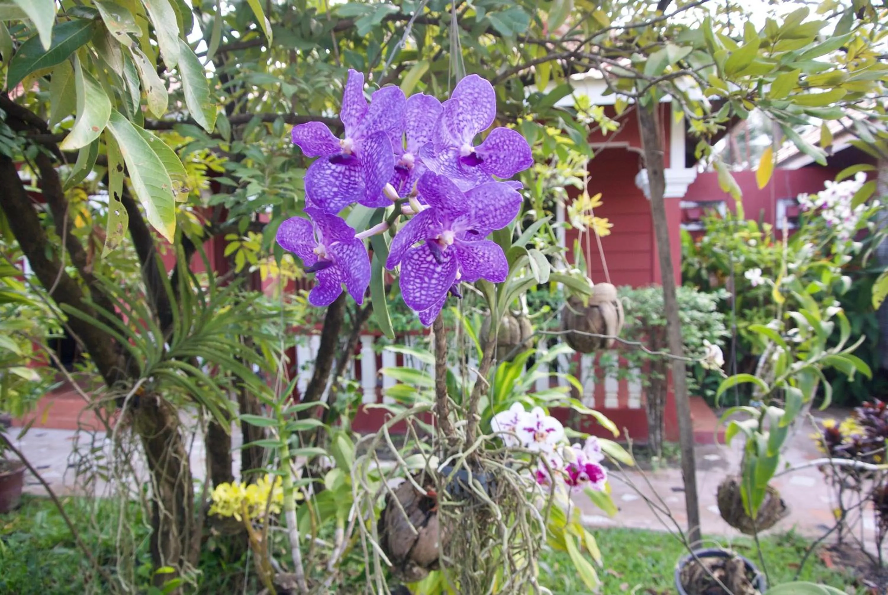 Phoumrumduol Bungalow