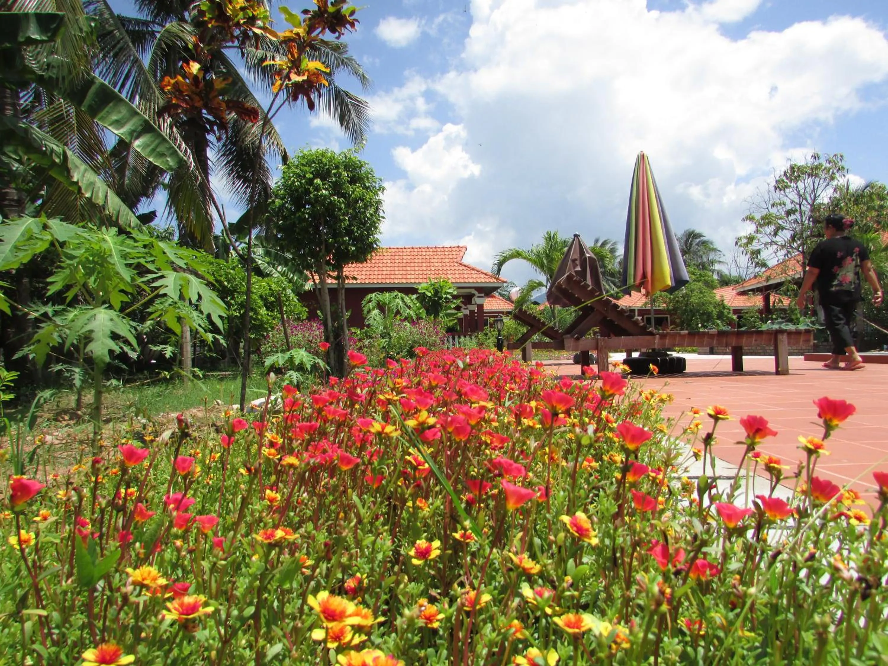 Garden view in Phoumrumduol Bungalow