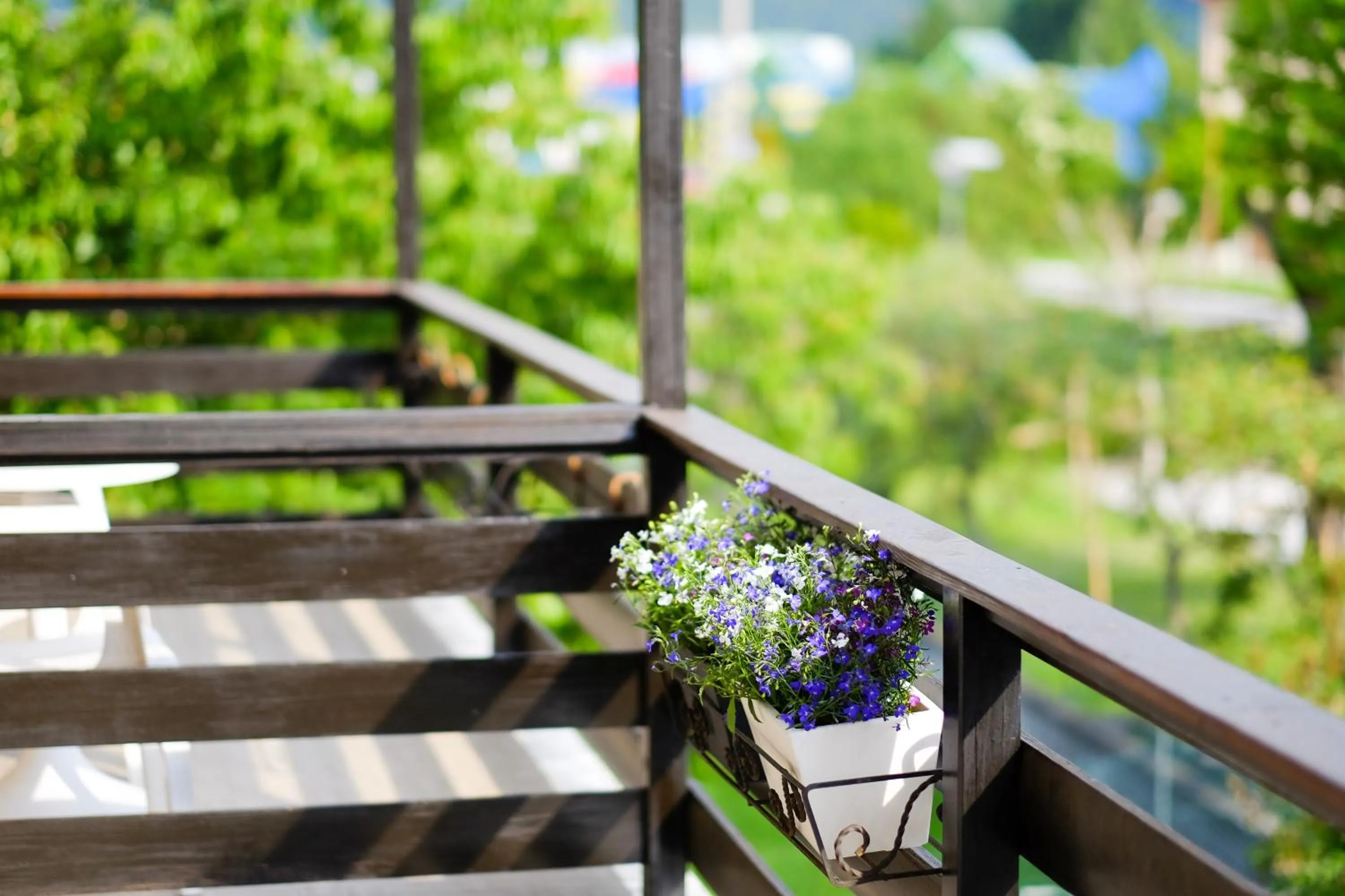 Balcony/Terrace in Hotel Monte Cimone