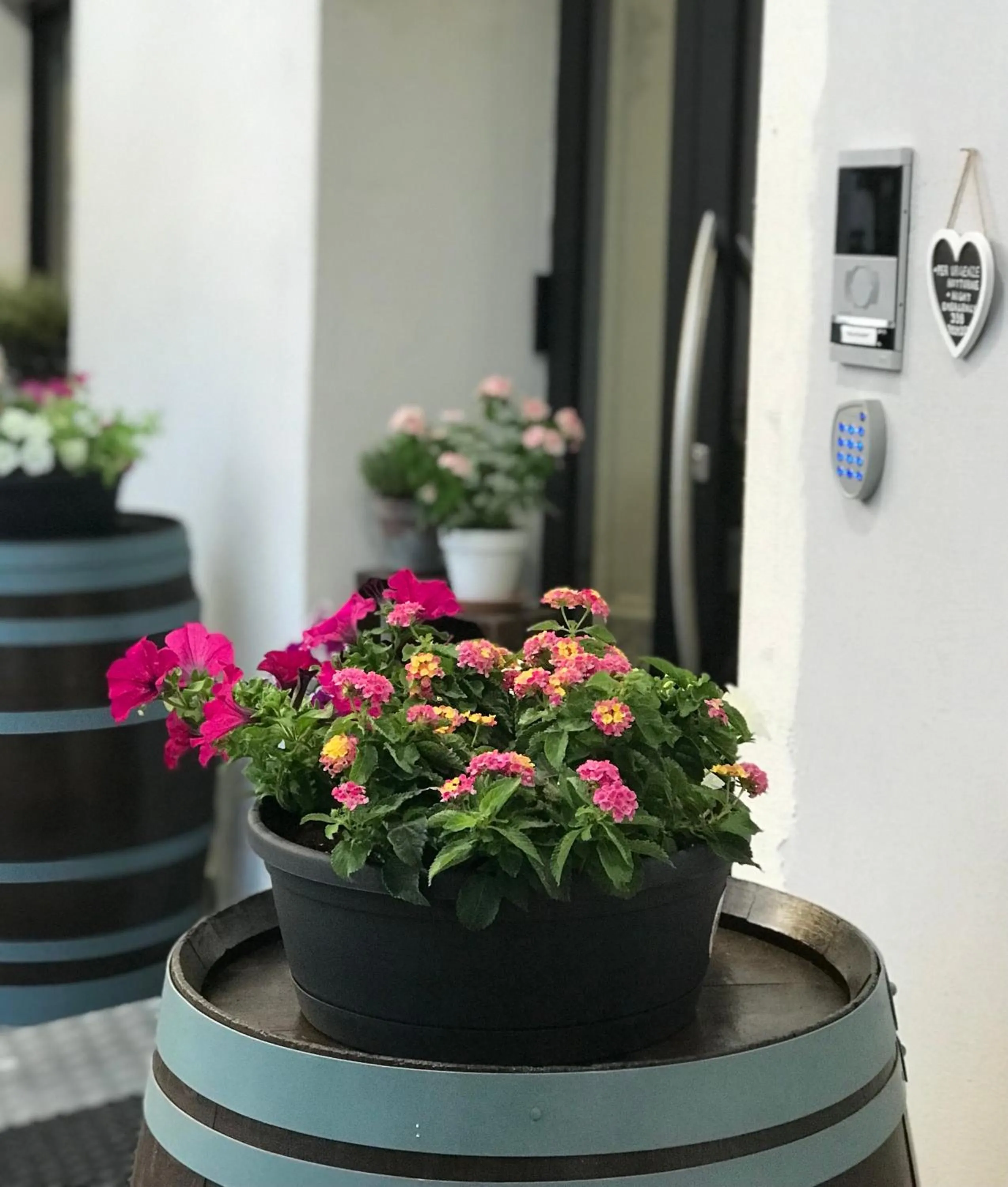 Property building in Hotel Monte Cimone