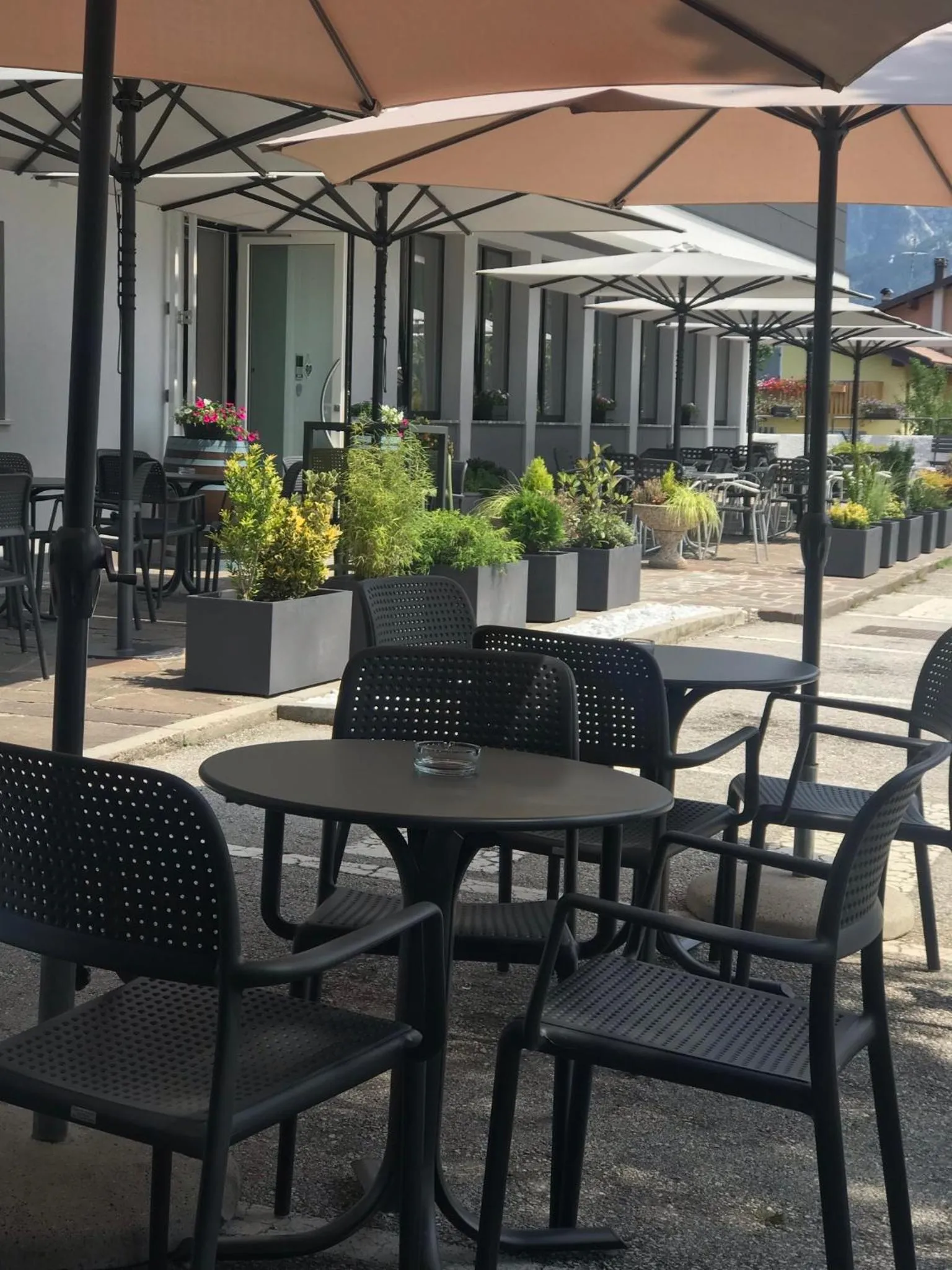 Garden in Hotel Monte Cimone