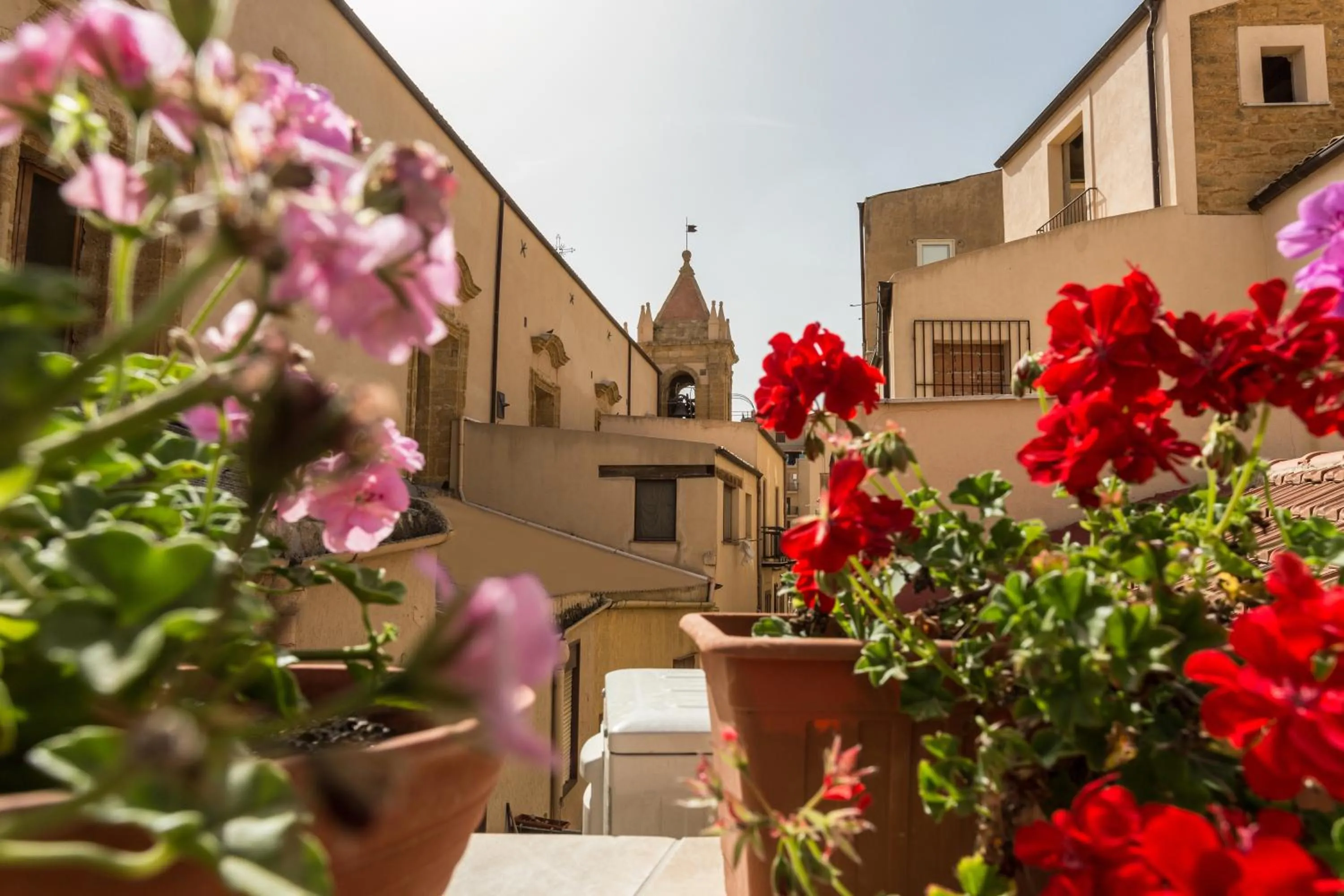 Photo of the whole room in Le Maioliche