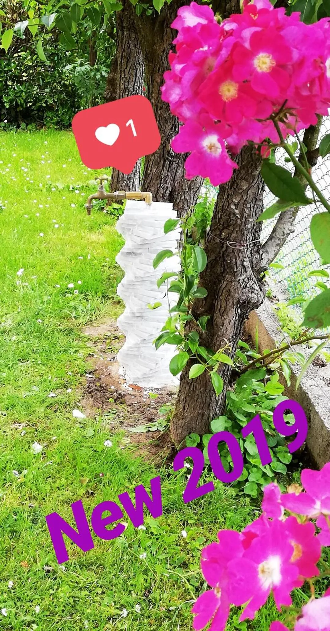 Garden in Casa Mite