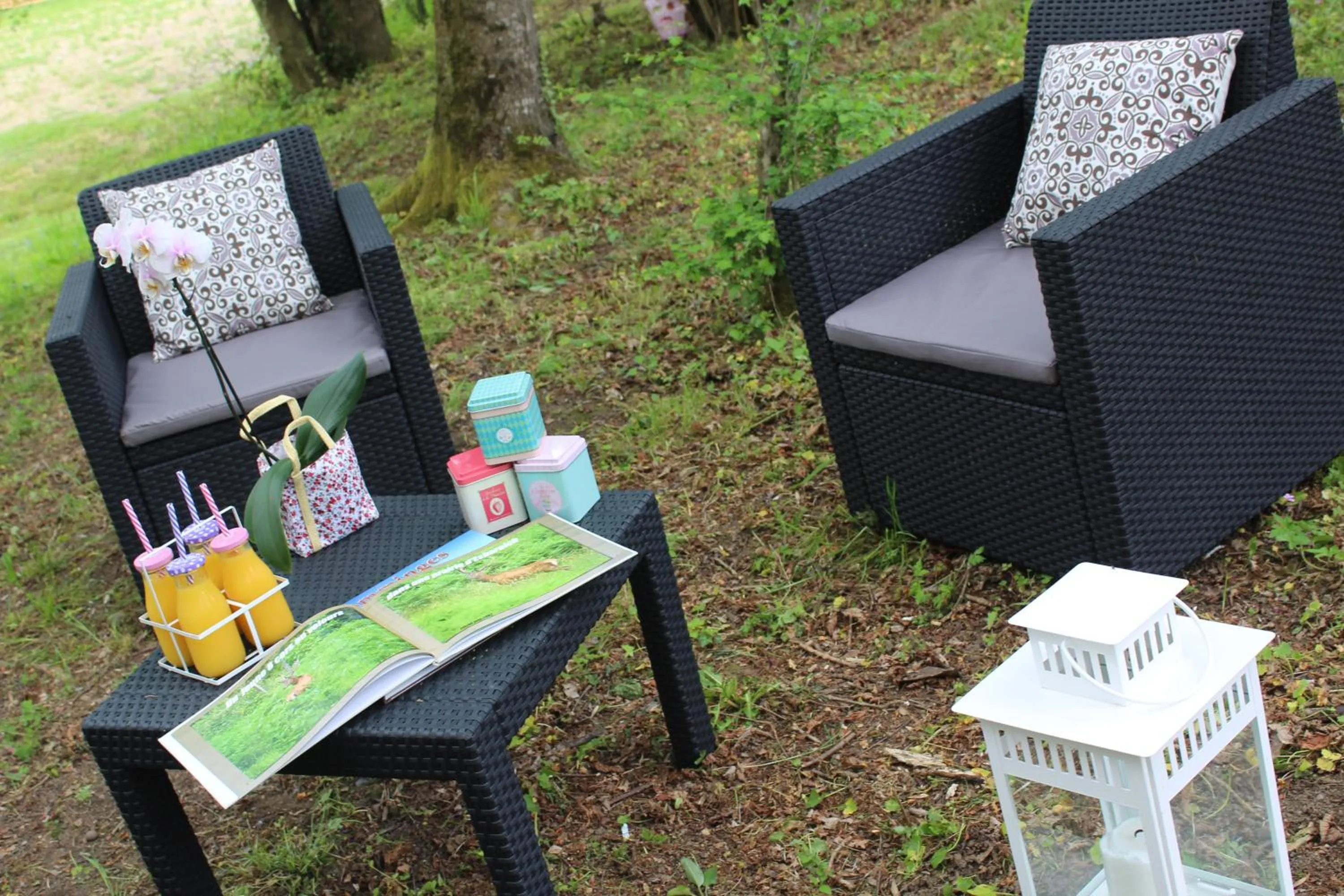 Garden in Du Coté de Lacoume