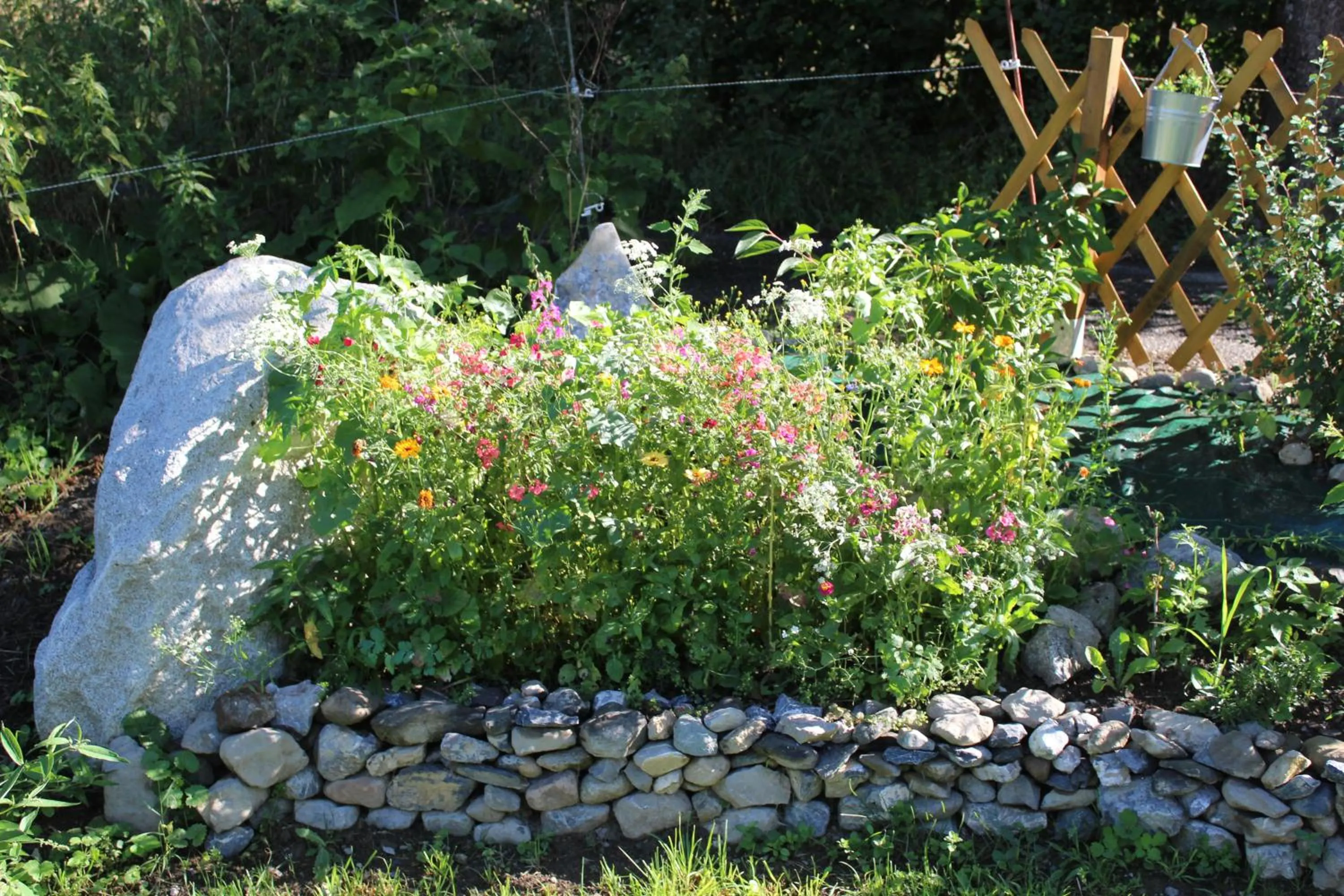 Garden in Du Coté de Lacoume