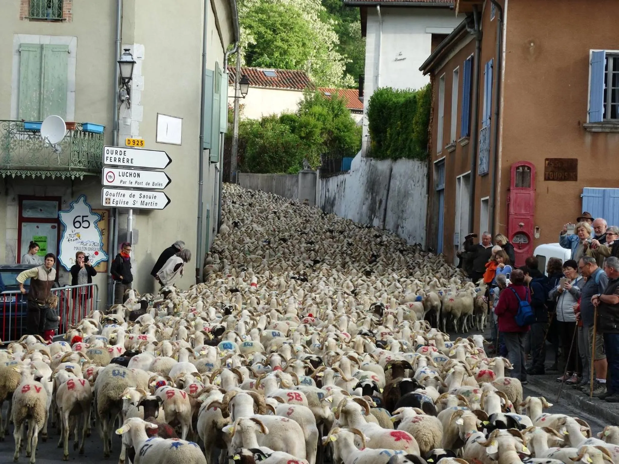 Entertainment in Du Coté de Lacoume