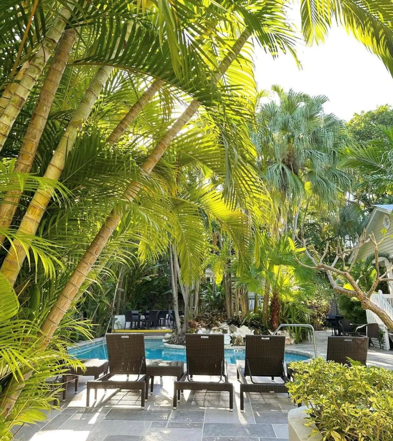 Spring in Westwinds Inn