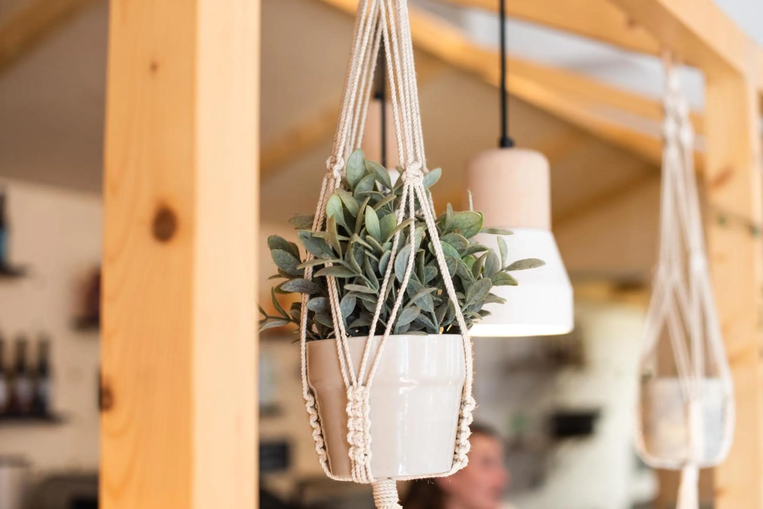 Away Hostel & Coffee Shop