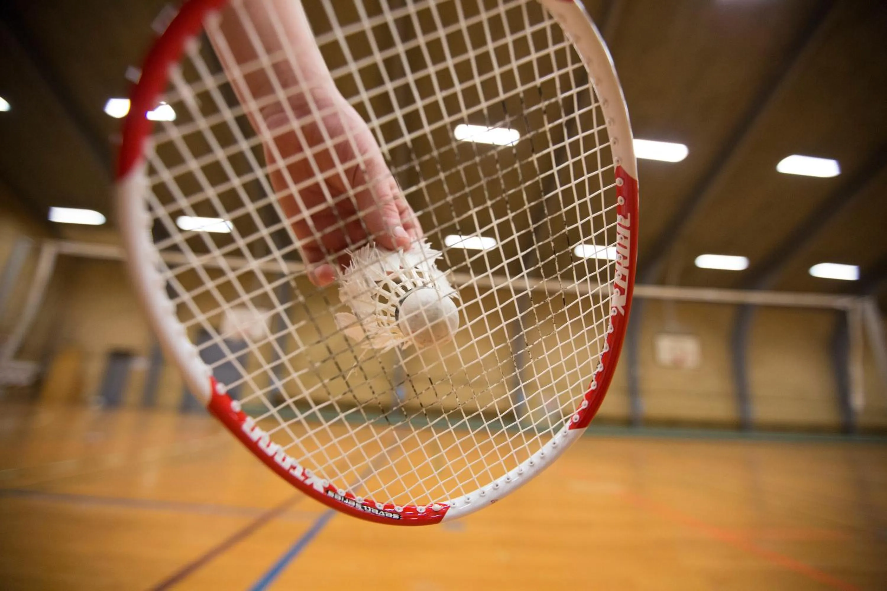 Activities in SportsPark Blaavandshuk Resort