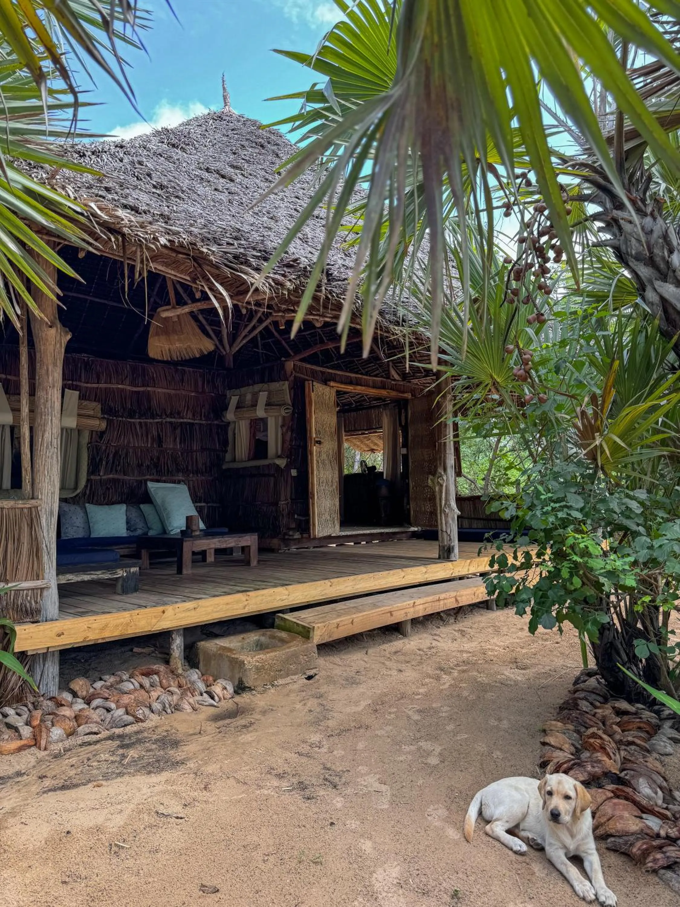 Property building in Che Shale